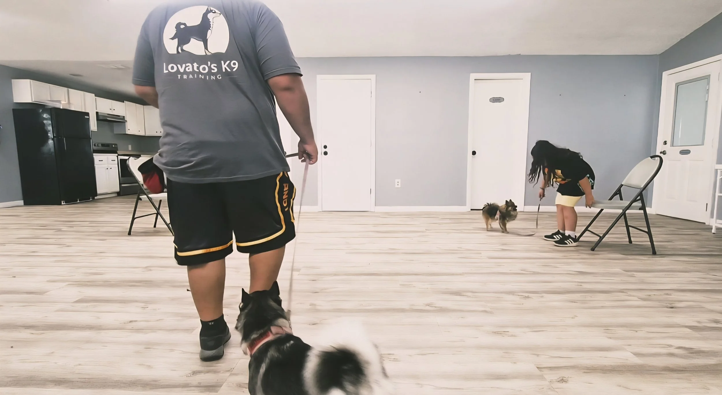 A man and a girl are training dogs indoors in a room with light wood flooring and gray walls. The man is holding a leash attached to a black and white dog, and the girl is crouched down with two small dogs on leashes.