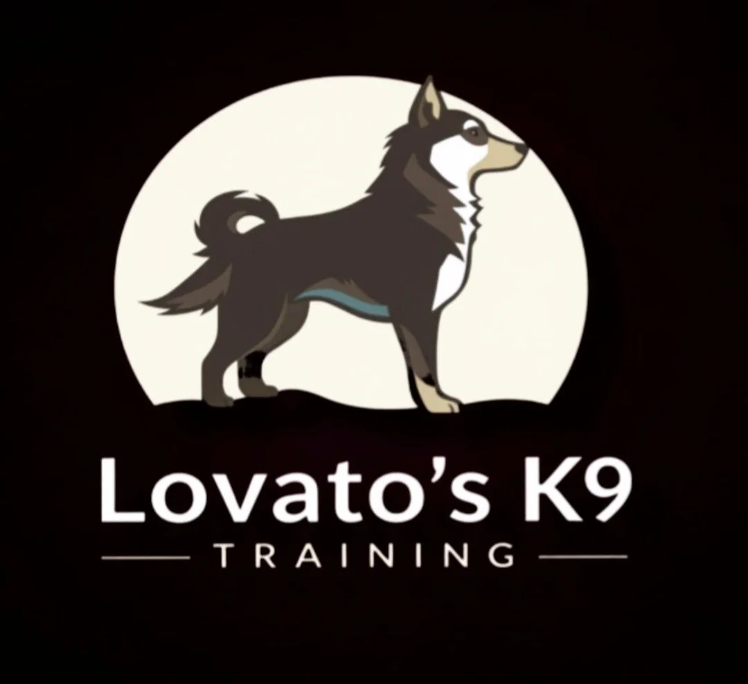 Logo for Lovato's K9 Training featuring a stylized illustration of a black and white dog with a curled tail standing in front of a white circle on a black background.