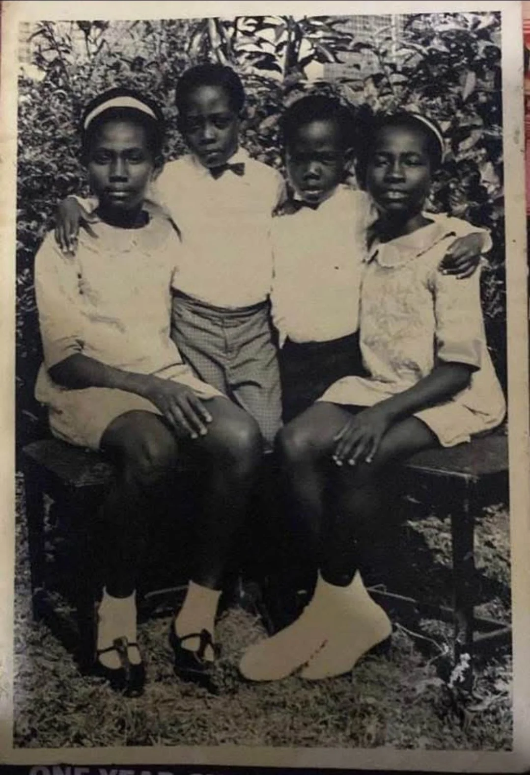 Four children, two girls seated on benches and two boys standing behind them, in front of a bushy background.