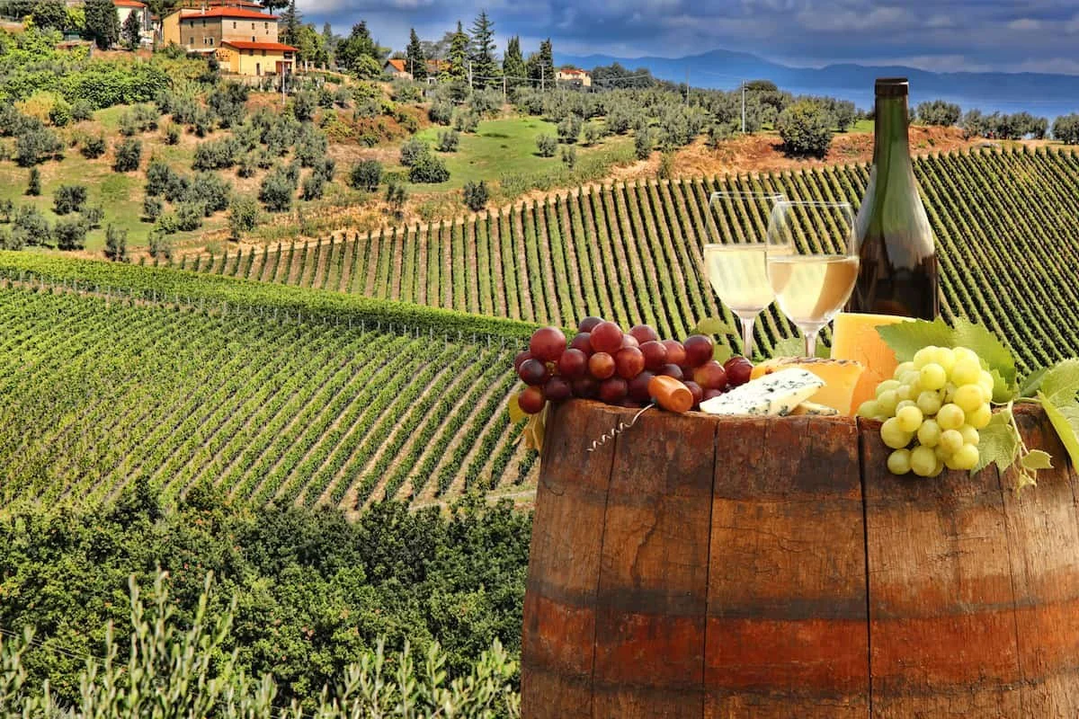 Wine tasting in Italy - 200€ / 30.000kr.