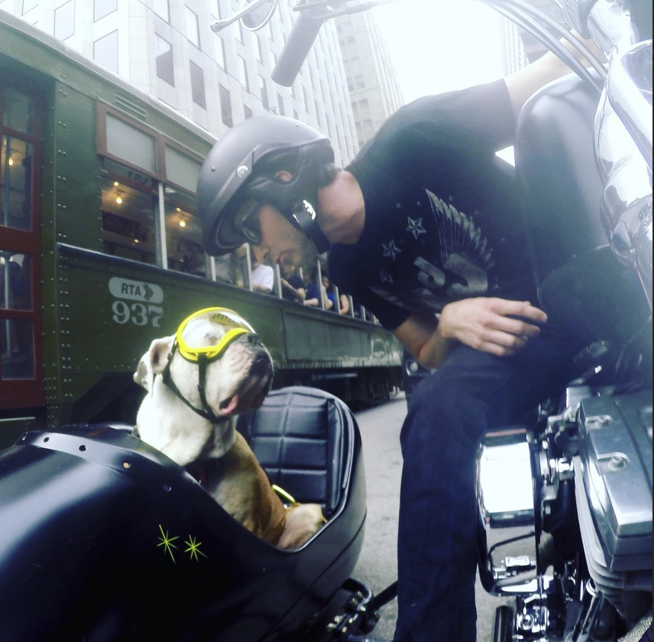 A man in a black helmet and black t-shirt is sitting on a motorcycle next to a bulldog wearing sunglasses and a harness, sitting in a sidecar on a city street with a green train and tall buildings in the background.