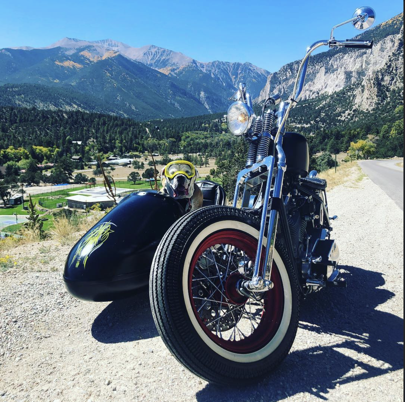 A vintage motorcycle with a sidecar parked on a gravel road, with a dog sitting in the sidecar. The motorcycle has white-wall tires and chrome details. The background features a scenic mountainous landscape with trees and a clear blue sky.
