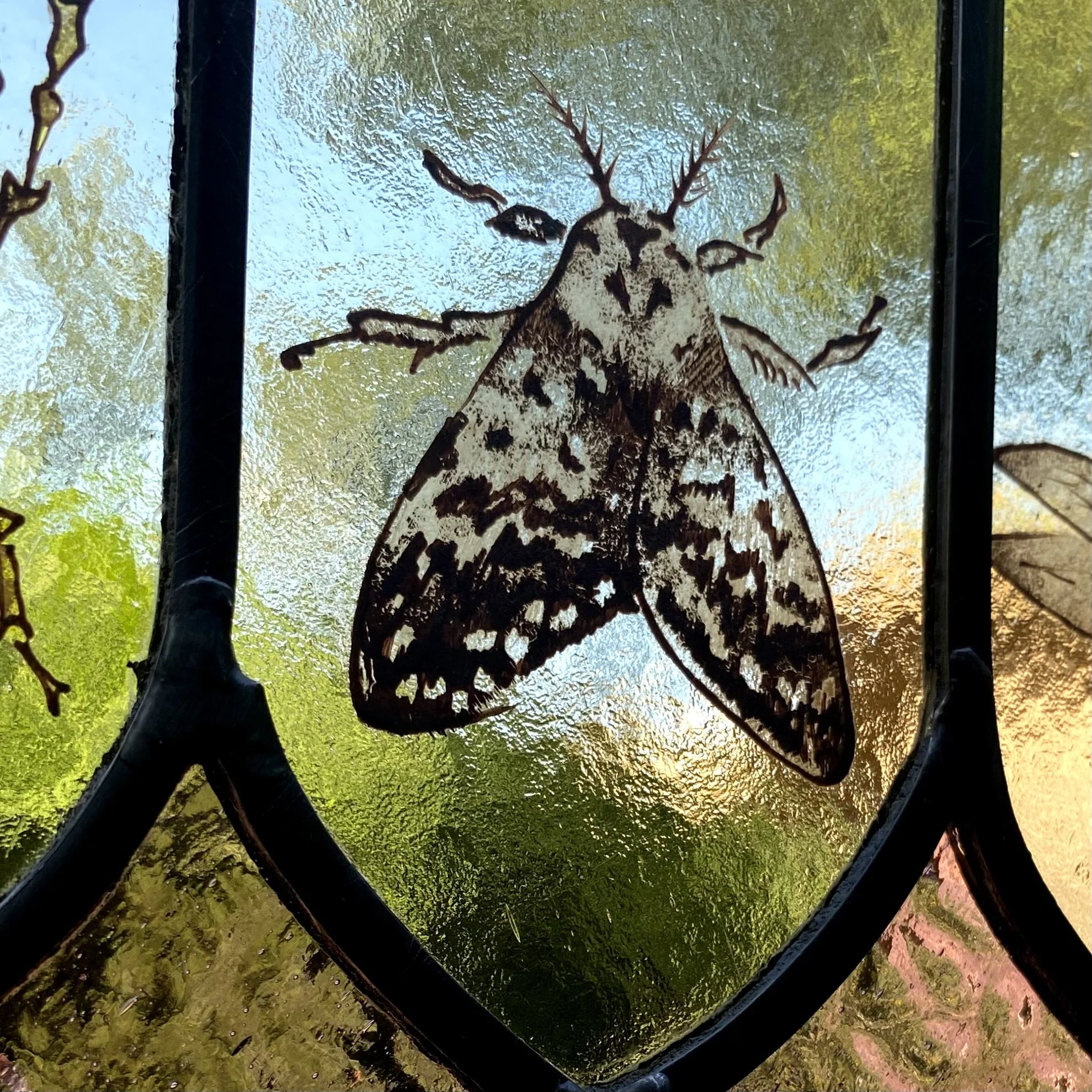 View through a textured glass window with a silhouette of a bird and branches against a background of green trees and sunlight.