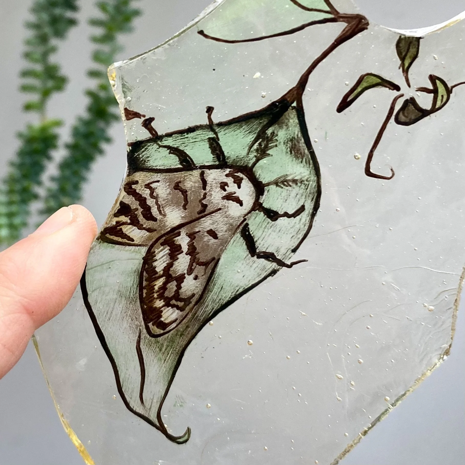 Close-up of a sheet of glass or acrylic with a drawing of a turtle, held by a person's finger, with green and brown markings, with some dried plant parts and a blurred green plant in the background.