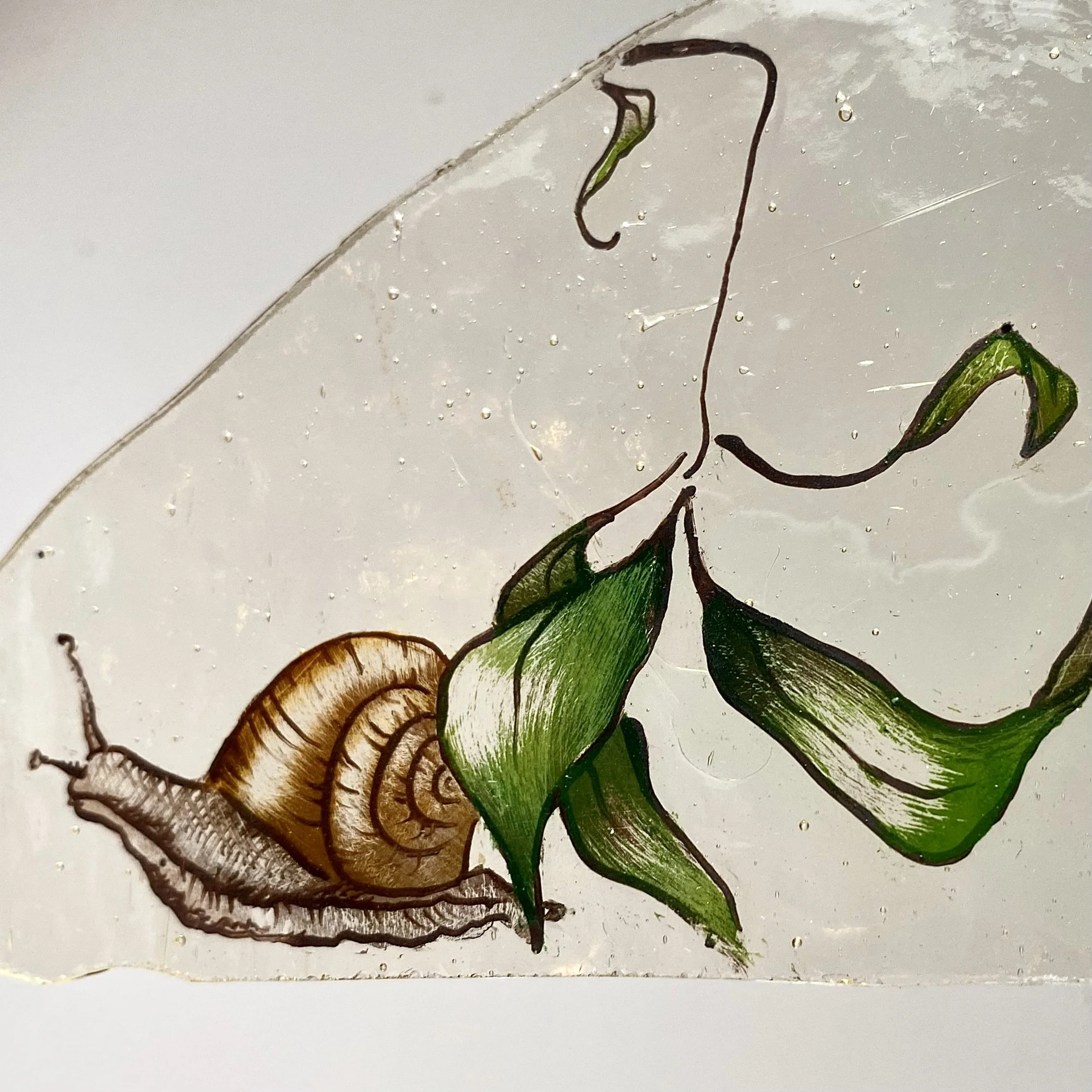 Close-up of a hand-drawn picture depicting a plant with green leaves, brown stems, and roots on a white surface with small water droplets.