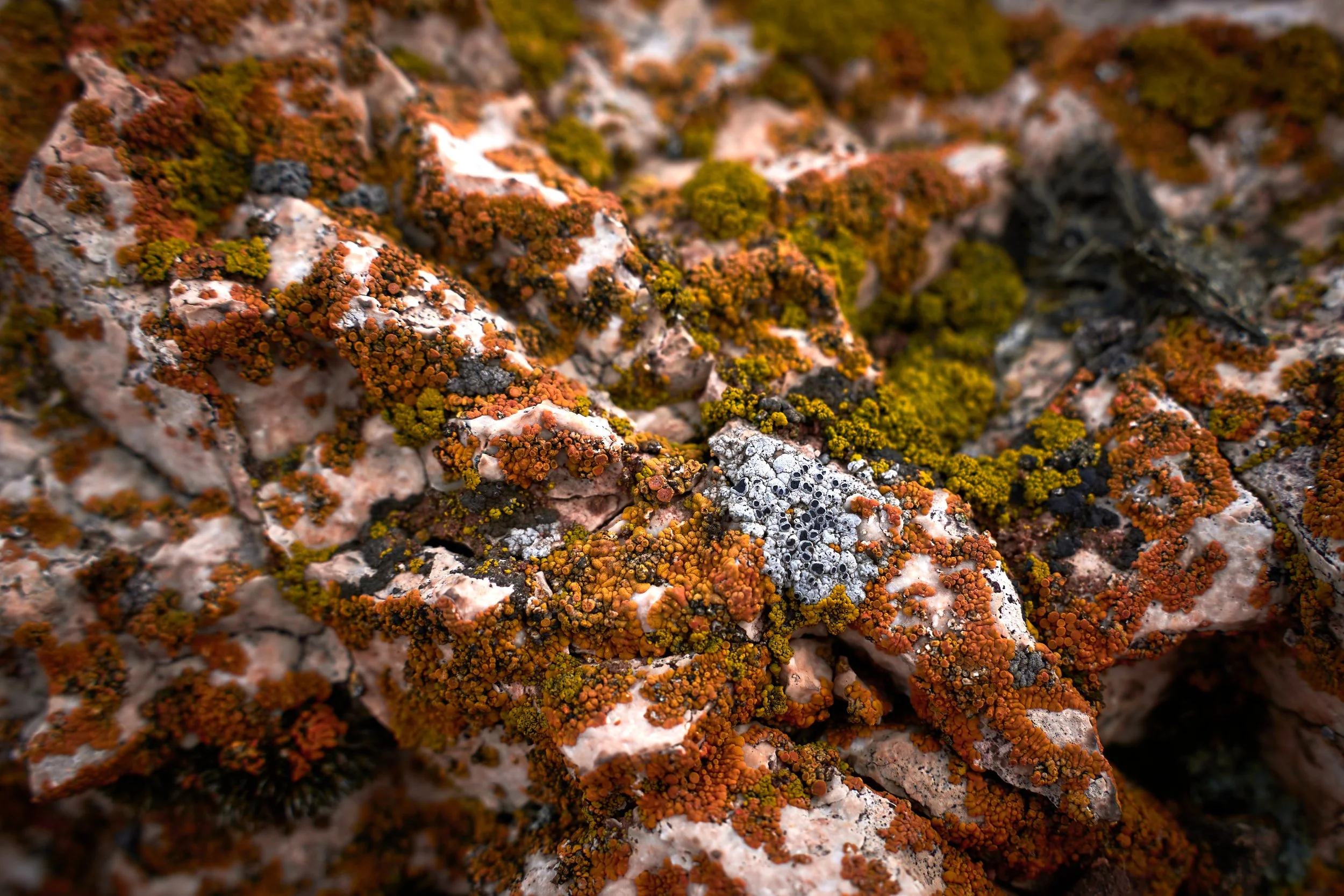 A7400715 : 1-350s : F4.5 : ISO 100.jpg