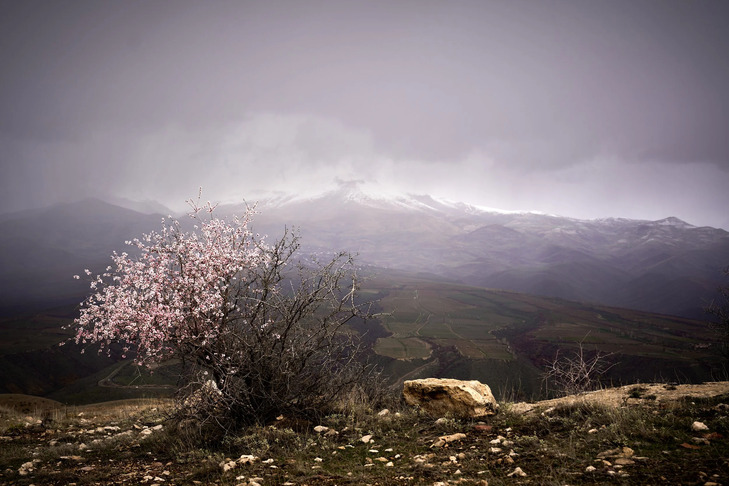 A7400771 : 1-350s : F4.5 : ISO 100.jpg