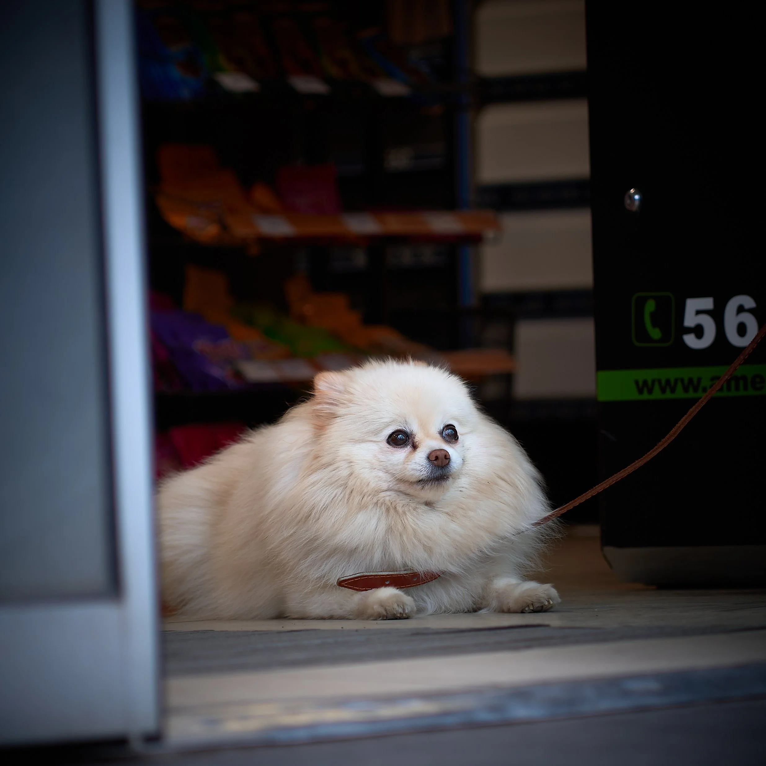 A7400547 : 1-200s : F2.8 : ISO 160.jpg