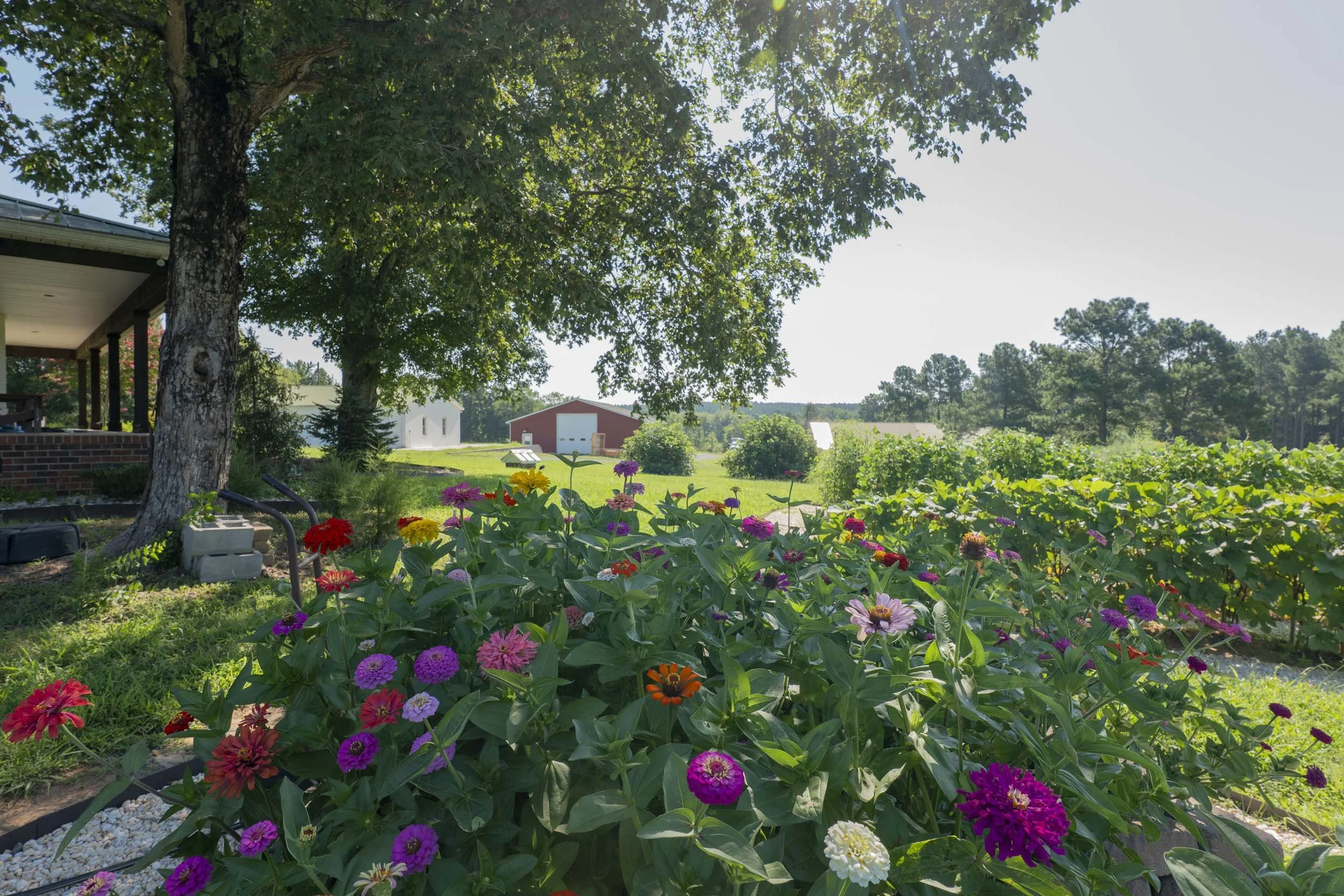 Garden-2.jpg
