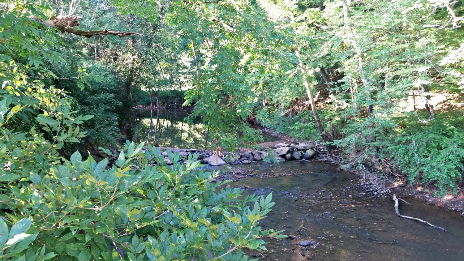 Cabin 5.jpg