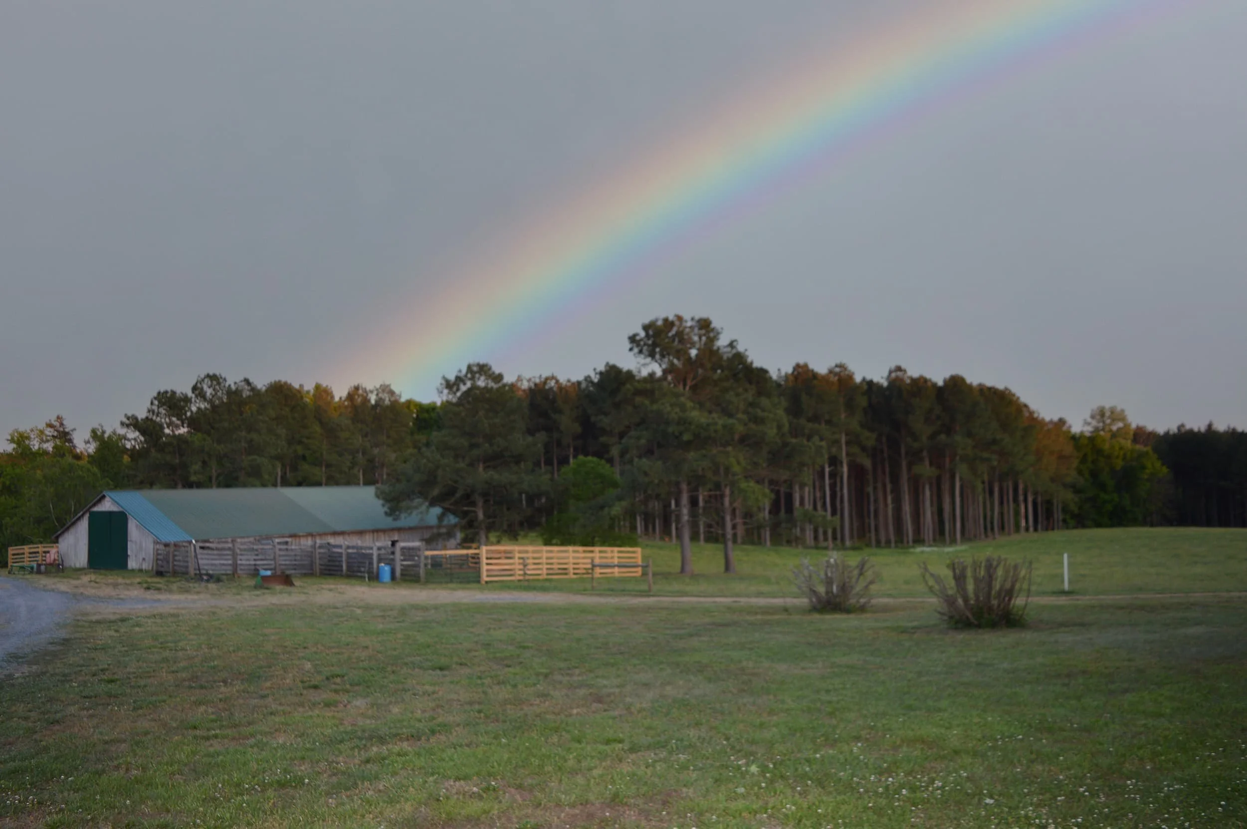 Wood-Barn-2.jpg