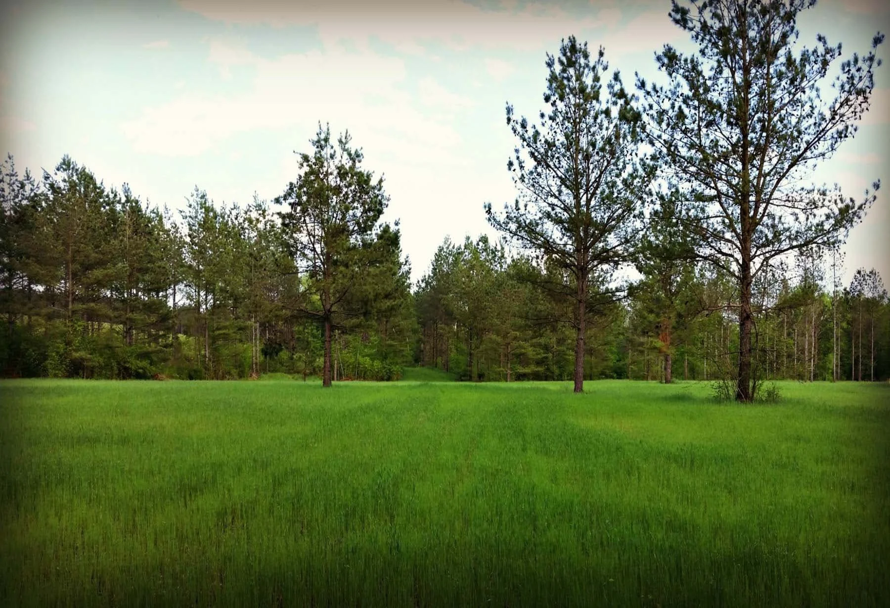 Land-Gallery5.jpg