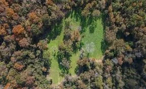 wooded area.jpg
