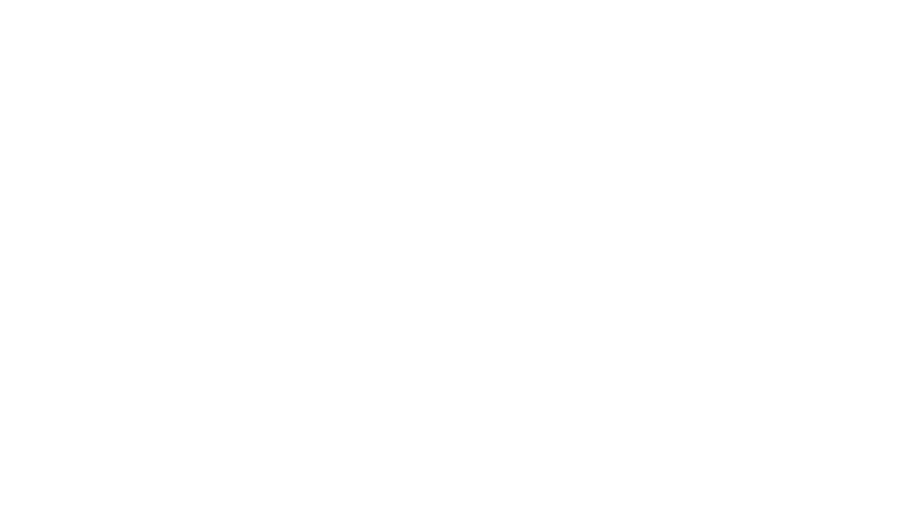 BRANDPUNT030