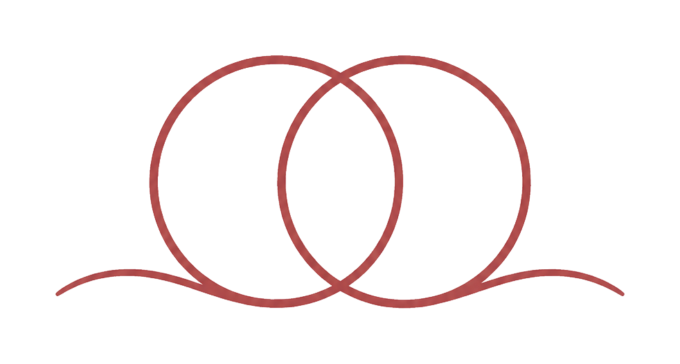Lijntekening van twee overlappende cirkels, symbool voor systemisch werk
