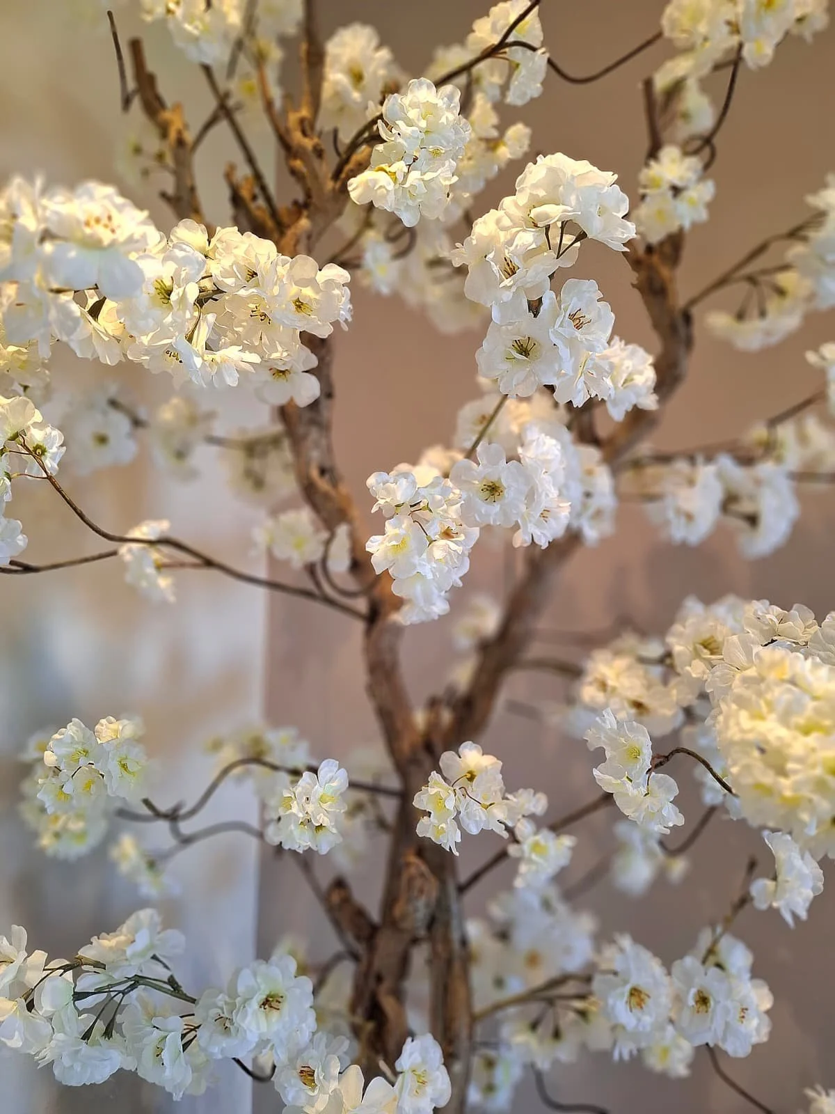 Witte bloemtakken met kleine bloemen en dunne takken.