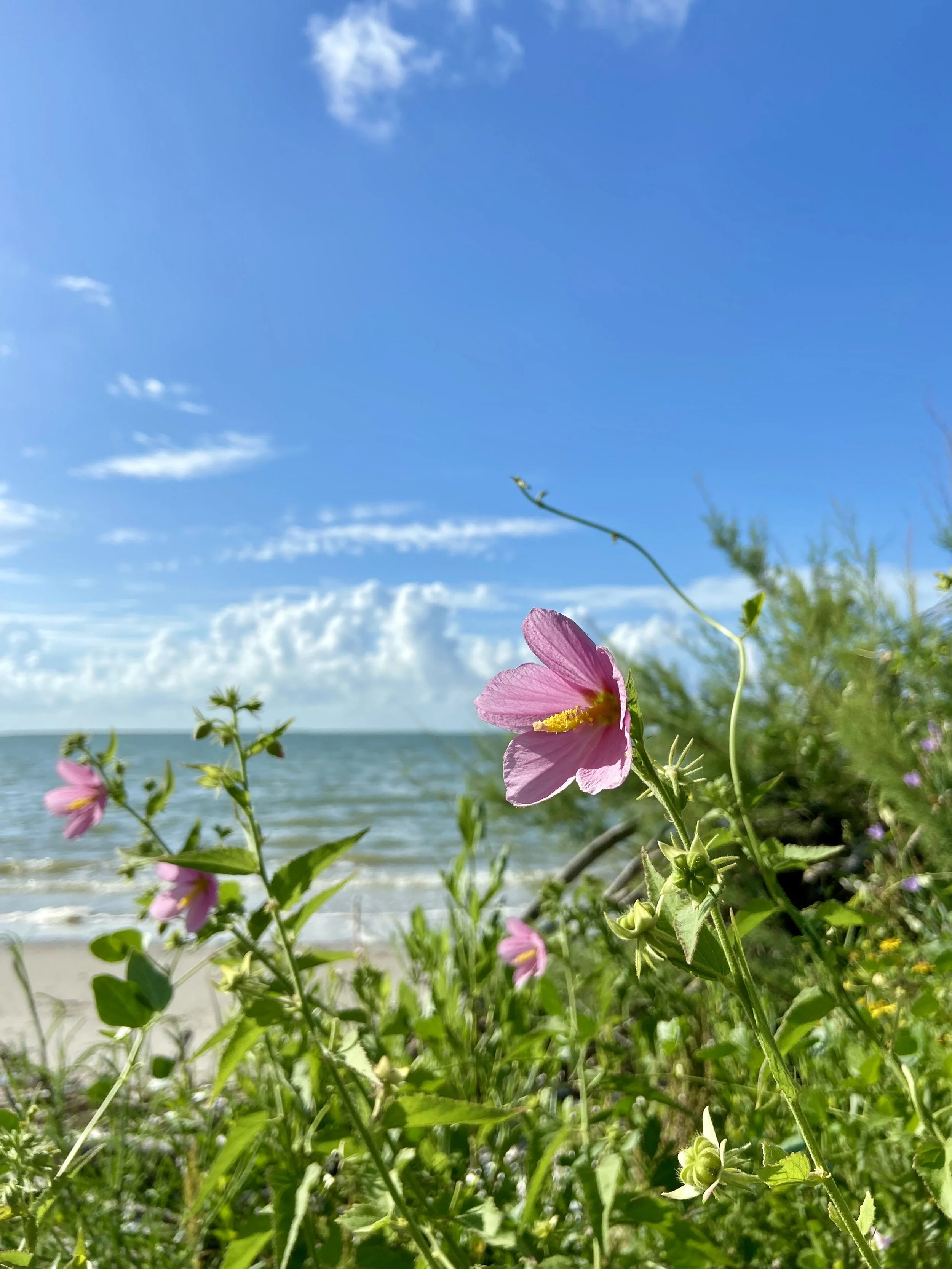 Parenting and Perinatal Support