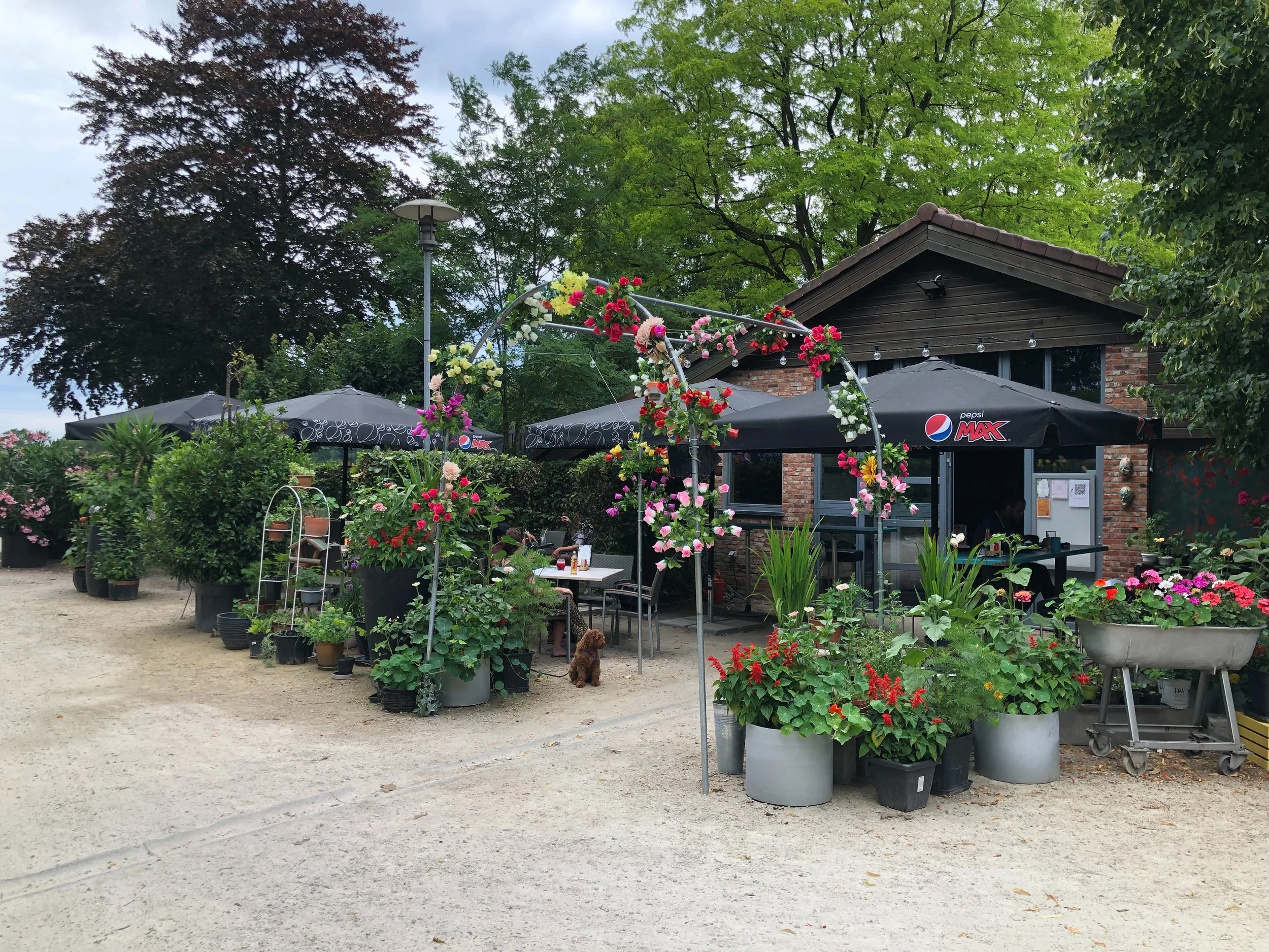 Terras van het 7Arts café