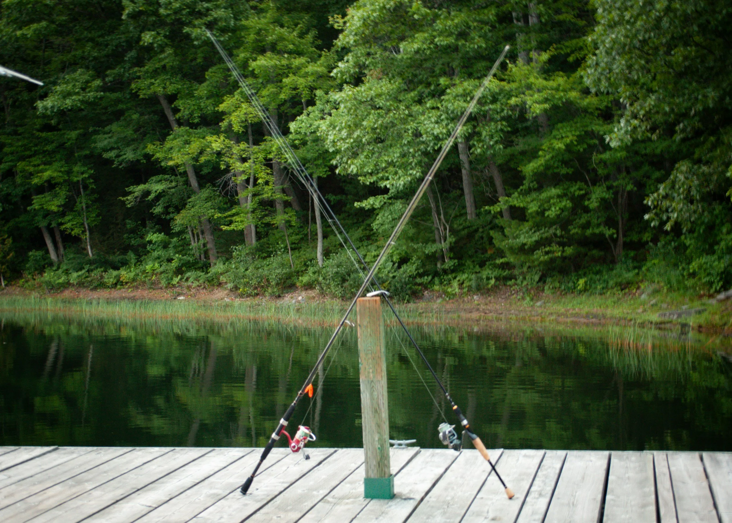 Fishing rods leaning against a wooden dock by a calm lake, with a lush green forest in the background.