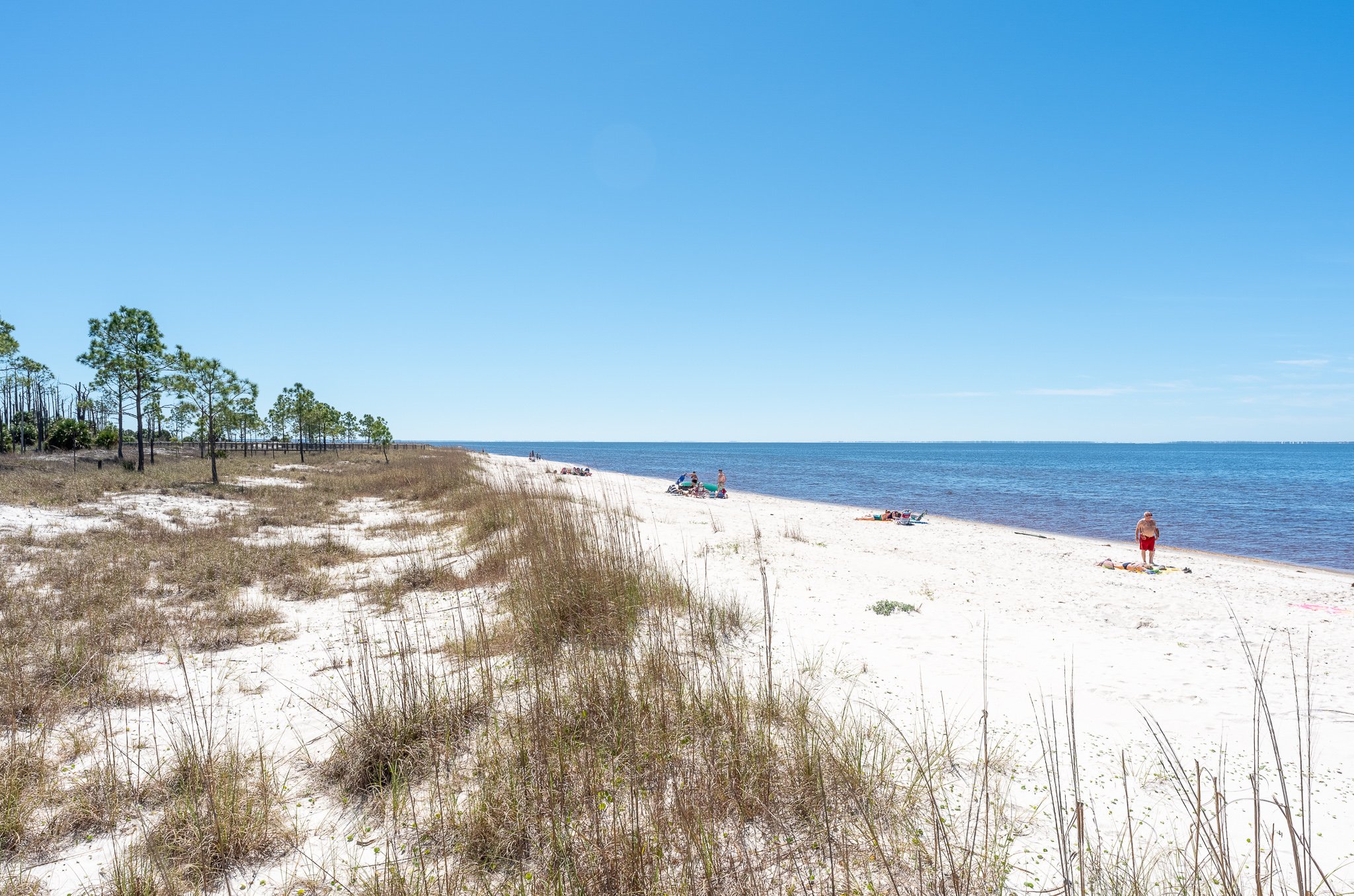 A wide sandy beach with patches of grass and a few people relaxing by the water under a clear blue sky. There are some trees on the left side of the image.