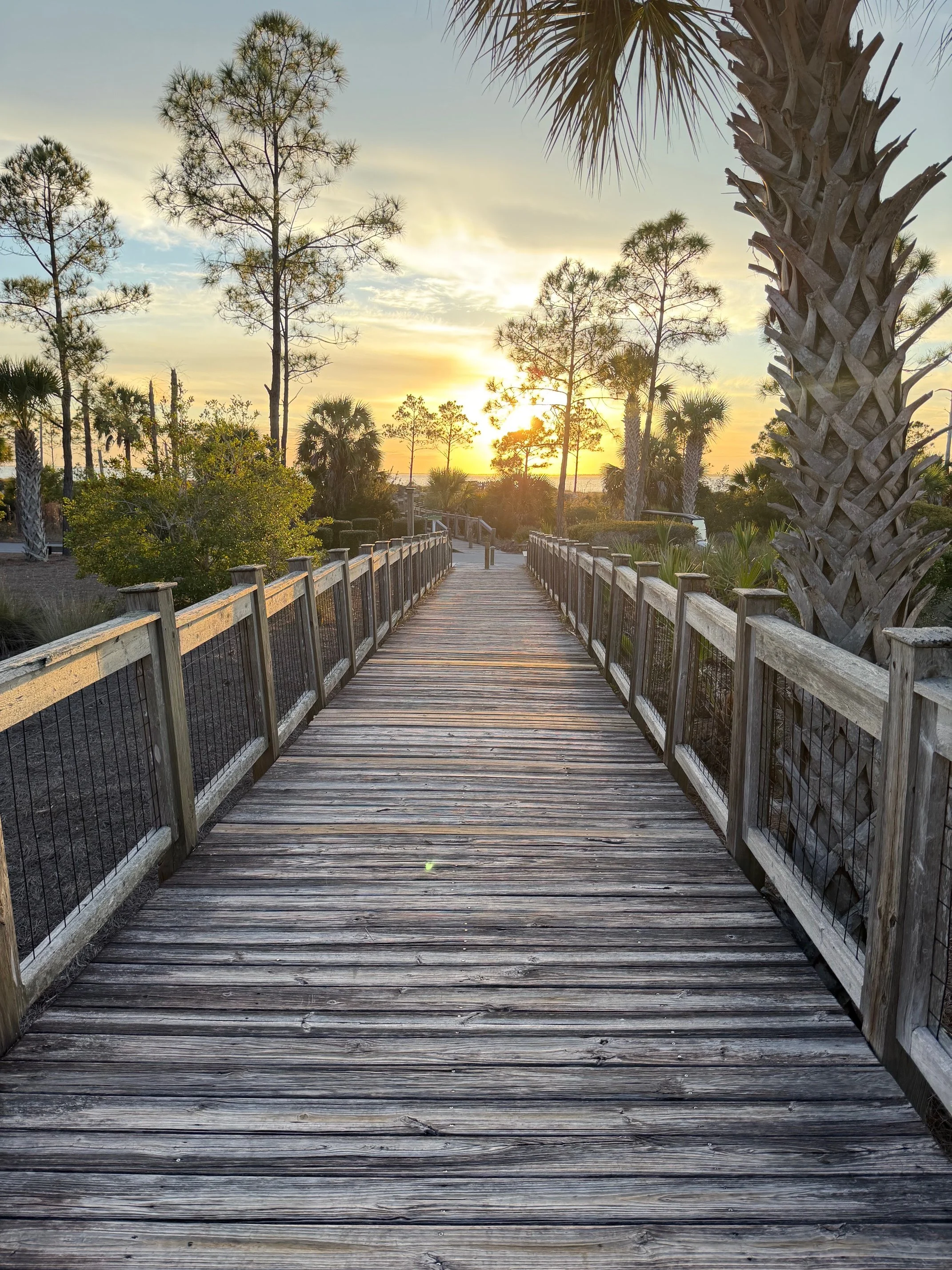 A wooden walkway with railings leading towards a sunset, surrounded by trees including palm trees and pine trees.