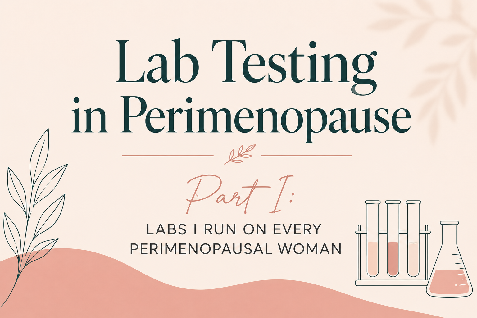 Labs I run on Every perimenopausal woman 