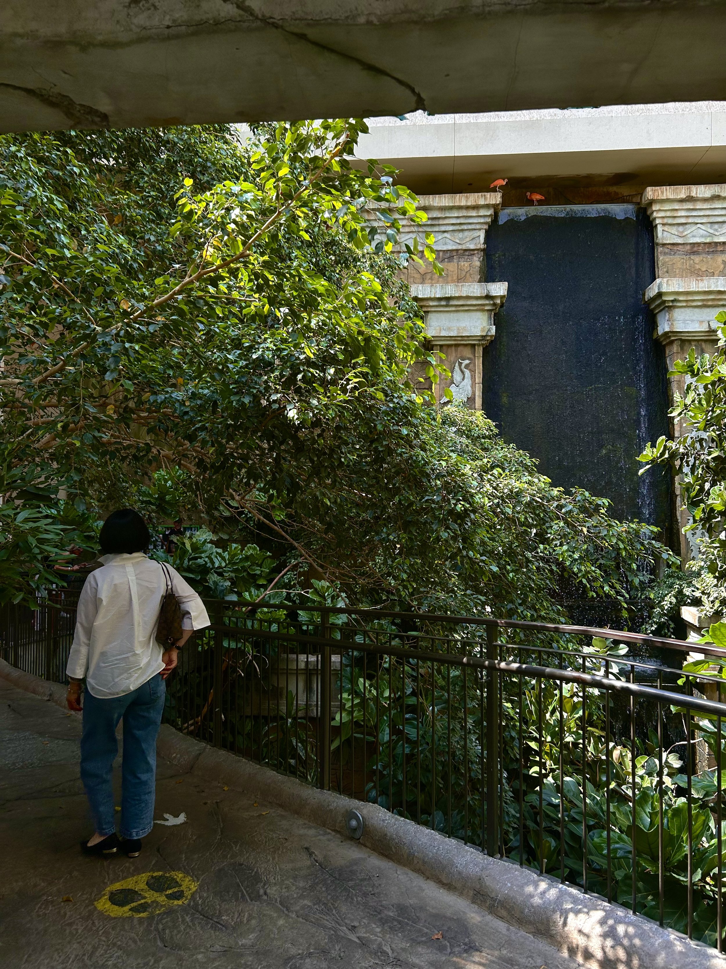 A woman with a white shirt and blue jeans standing near a black metal railing, looking at lush green plants and a decorative water fountain with a dark waterfall feature and stone architecture, with two pink flamingo statues on top.