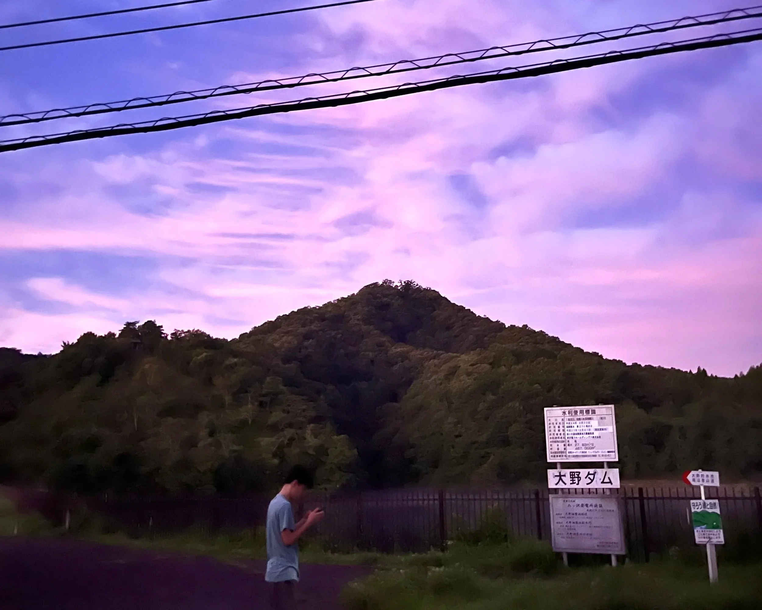 A person standing outdoors near a fence with a sign, overlooking a mountain covered with trees under a purple sky with wispy clouds.