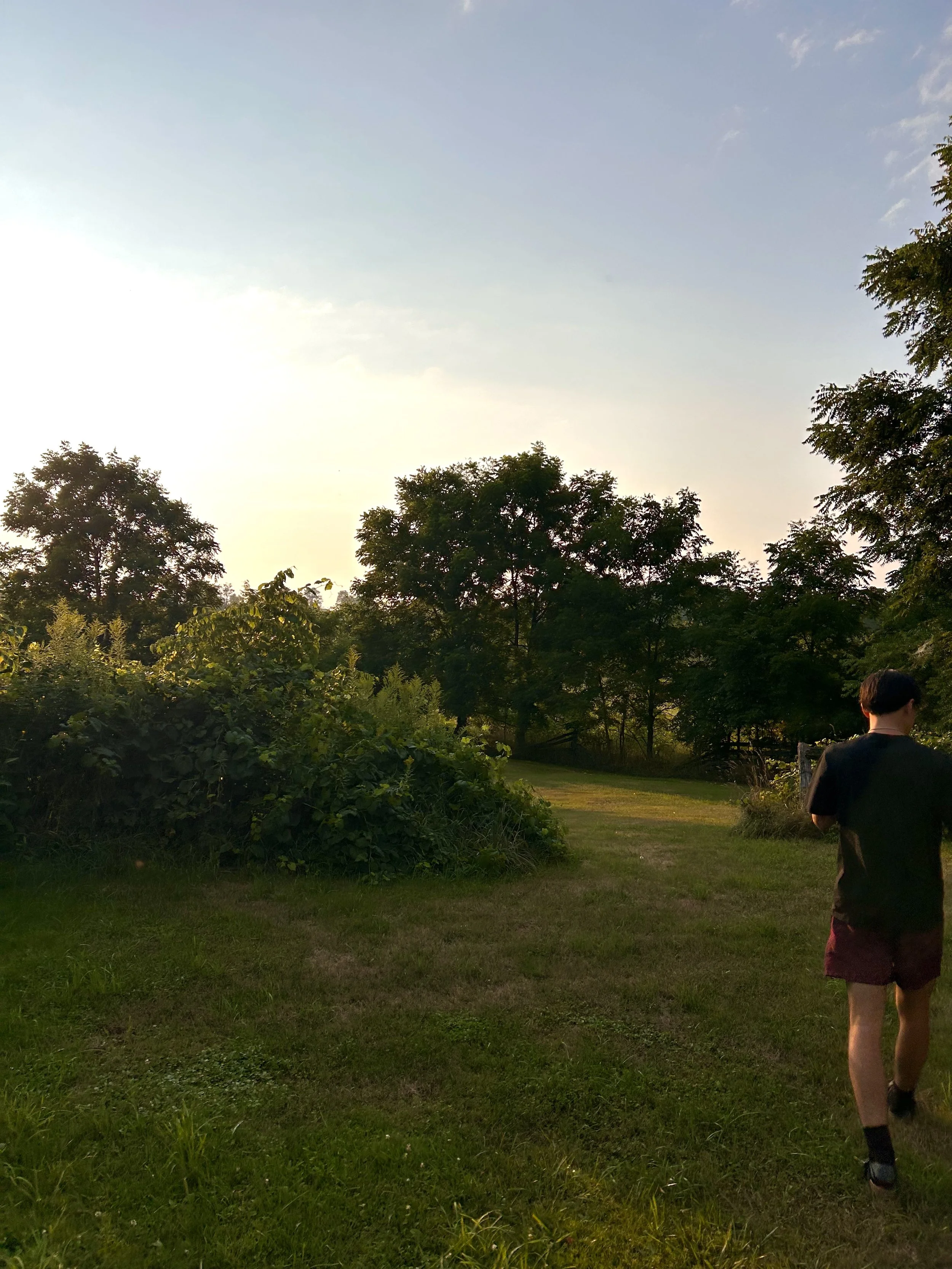Person walking on a grassy trail in a park during sunset with green trees and a clear sky in the background.