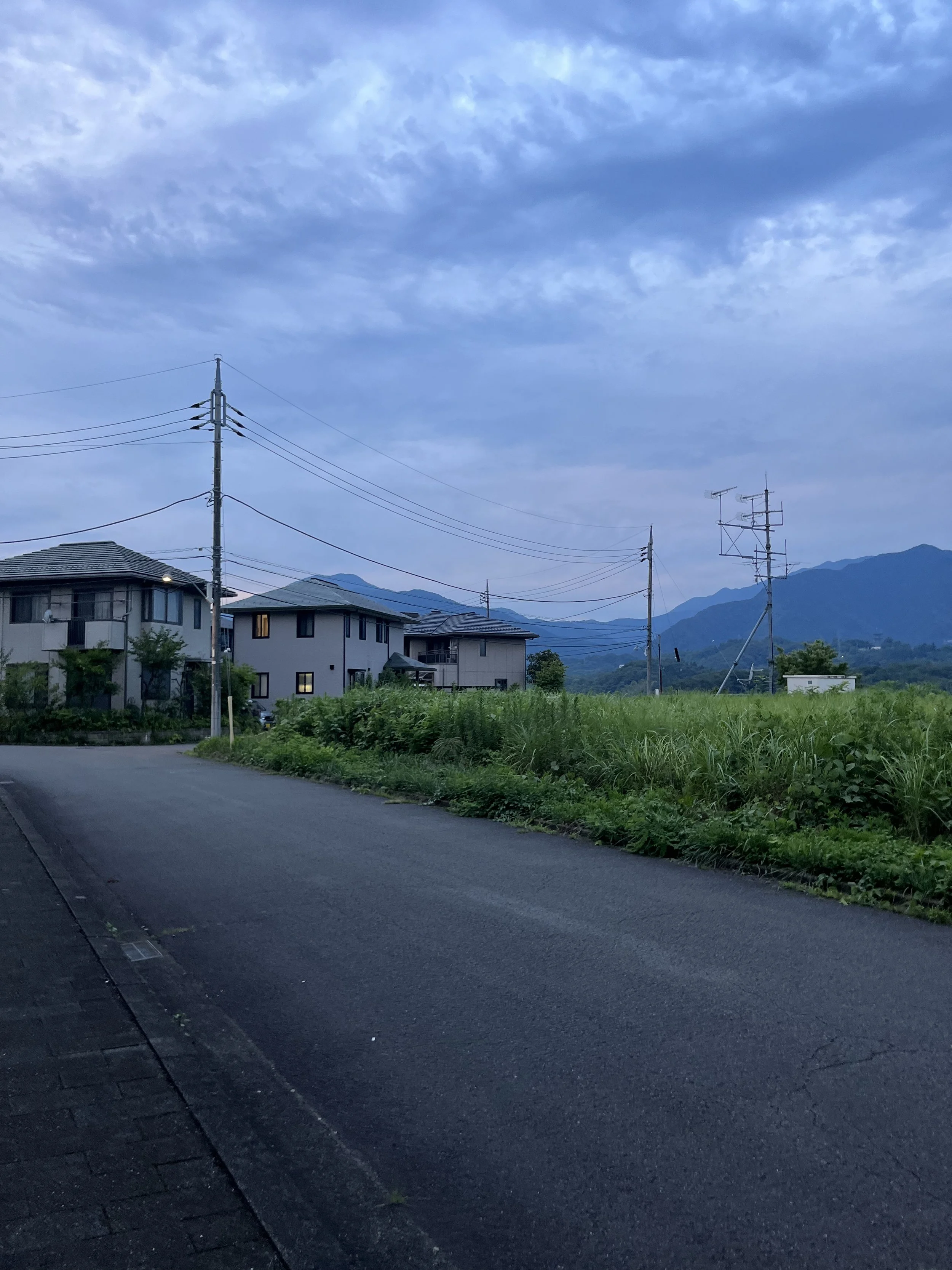 A quiet rural street with houses, utility poles, and green fields, with mountains in the background and a partly cloudy sky.
