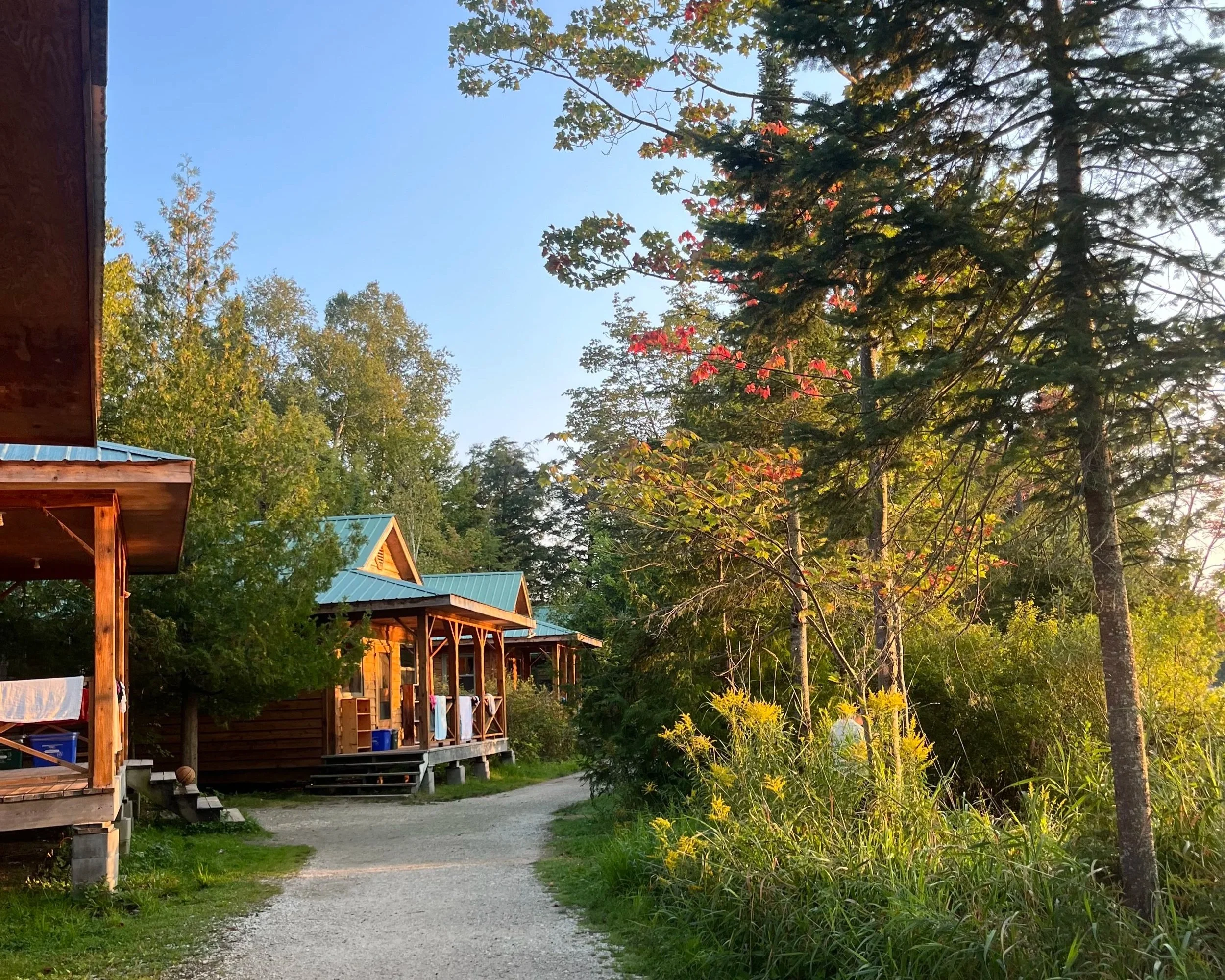 A gravel pathway running past several wooden houses with porches, surrounded by green trees and plants, with the sun shining in a clear sky.