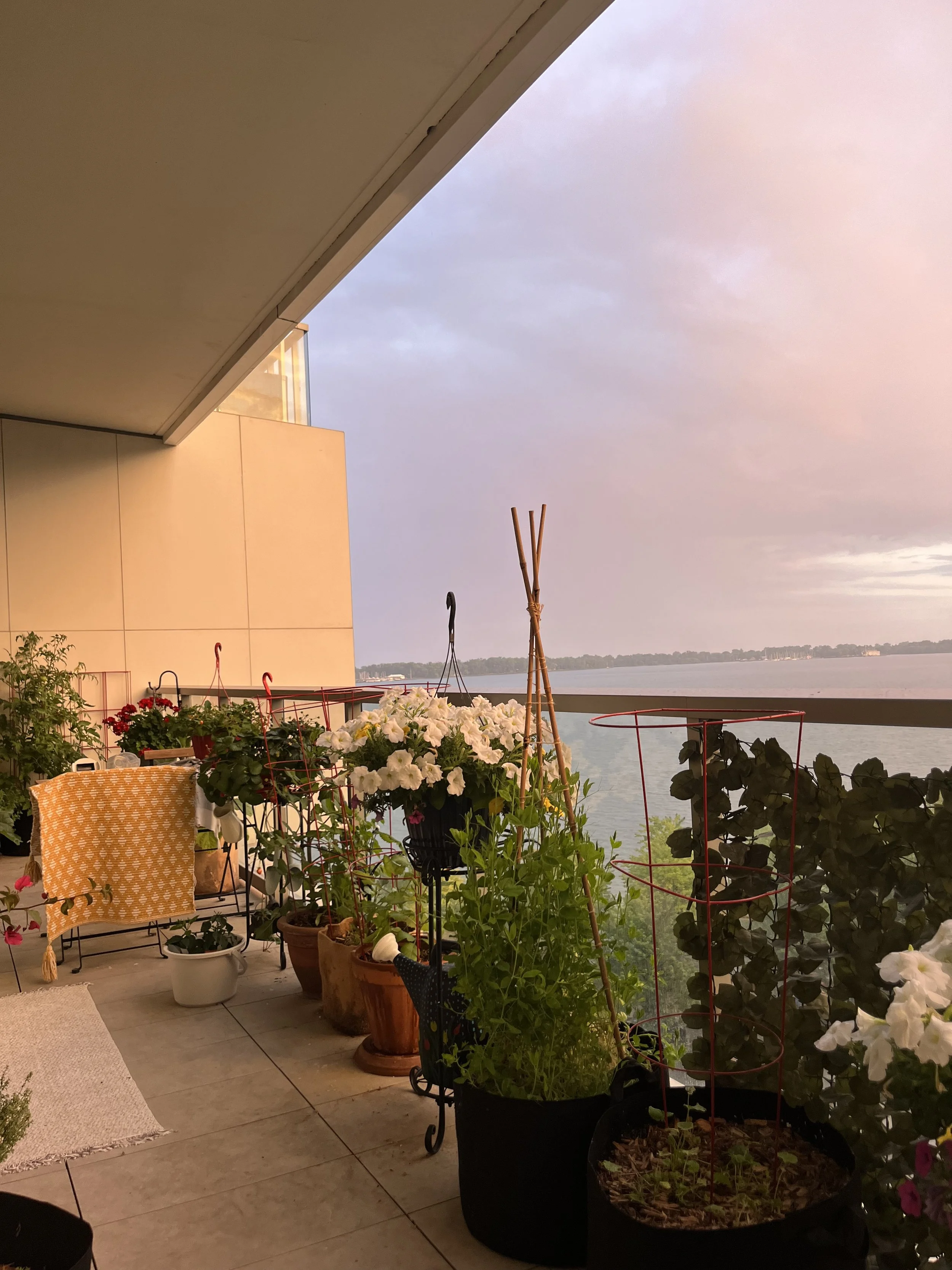 Balcony with potted plants and flowers overlooking a body of water at sunset.