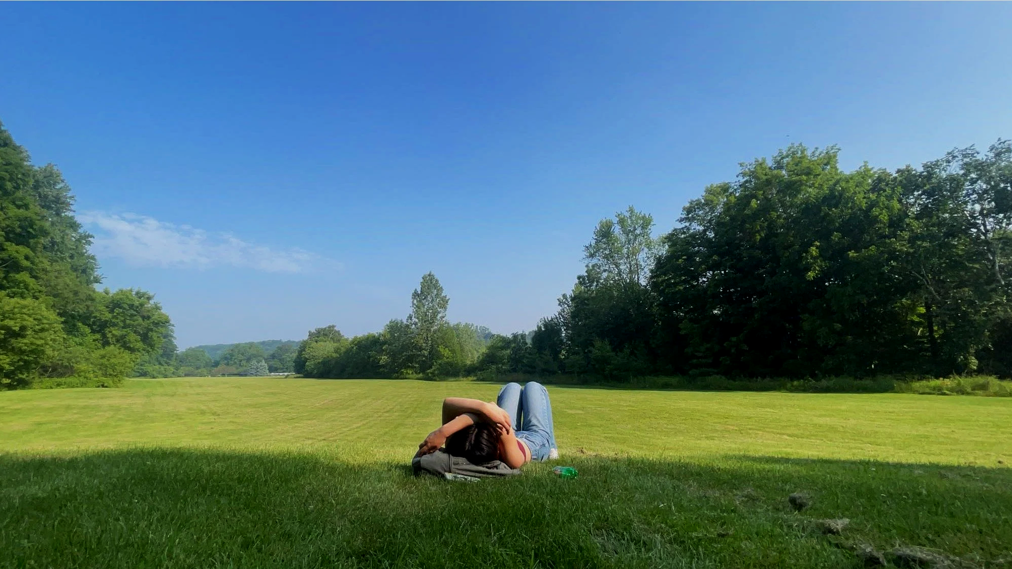 Person lying on the grass in a park, resting on their side with arms behind head, surrounded by green trees and open field, under a clear blue sky.
