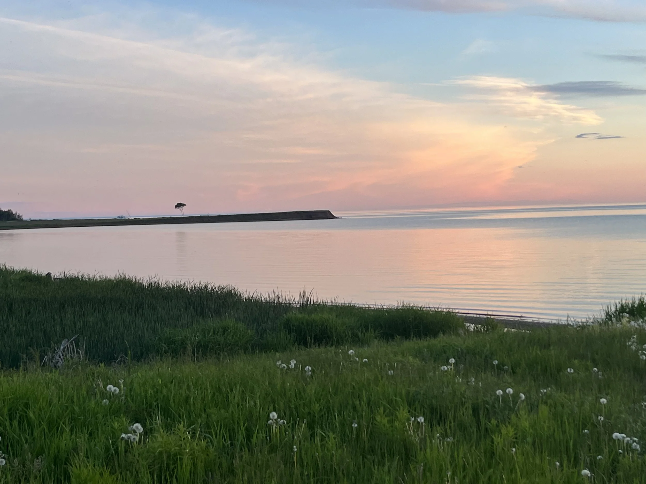A serene lakeside scene at sunset with calm water, green grass foreground, a small tree on a distant island, and pastel-colored sky with pink, blue, and orange hues.