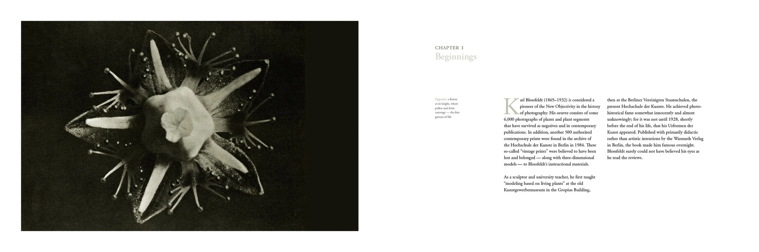 Book-spreads3.jpg