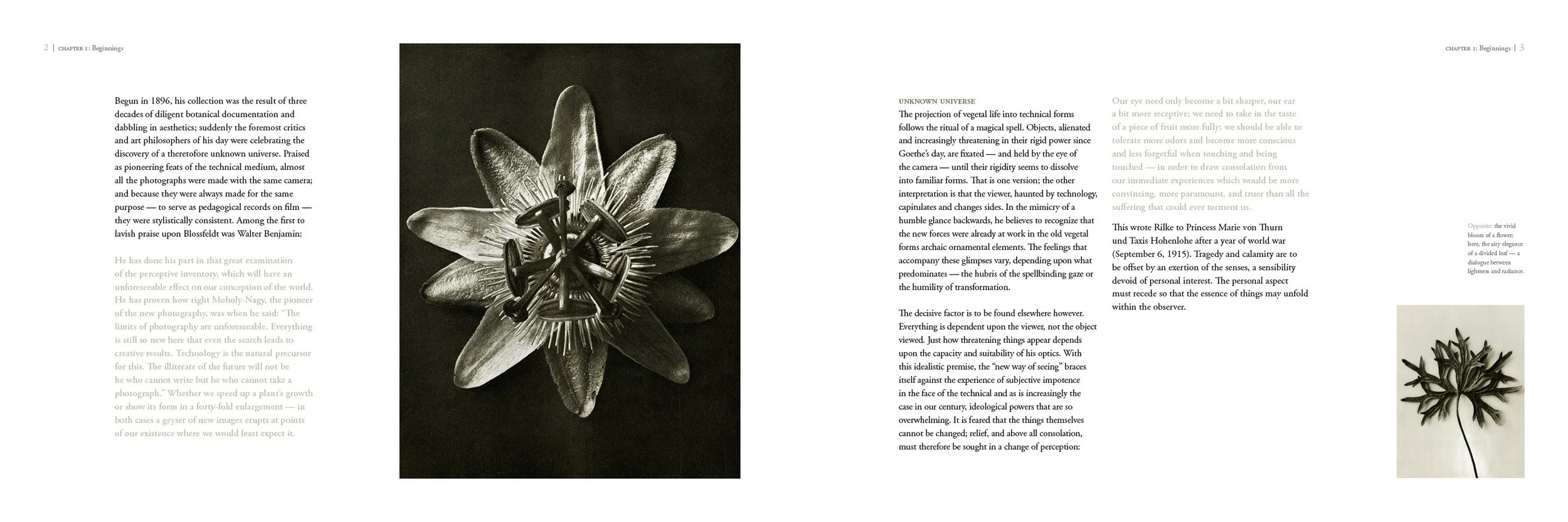 Book-spreads4.jpg