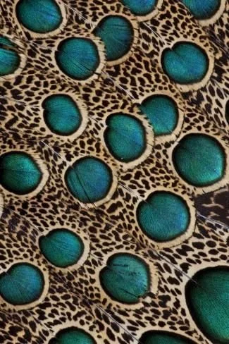 Quarterly Retainer
