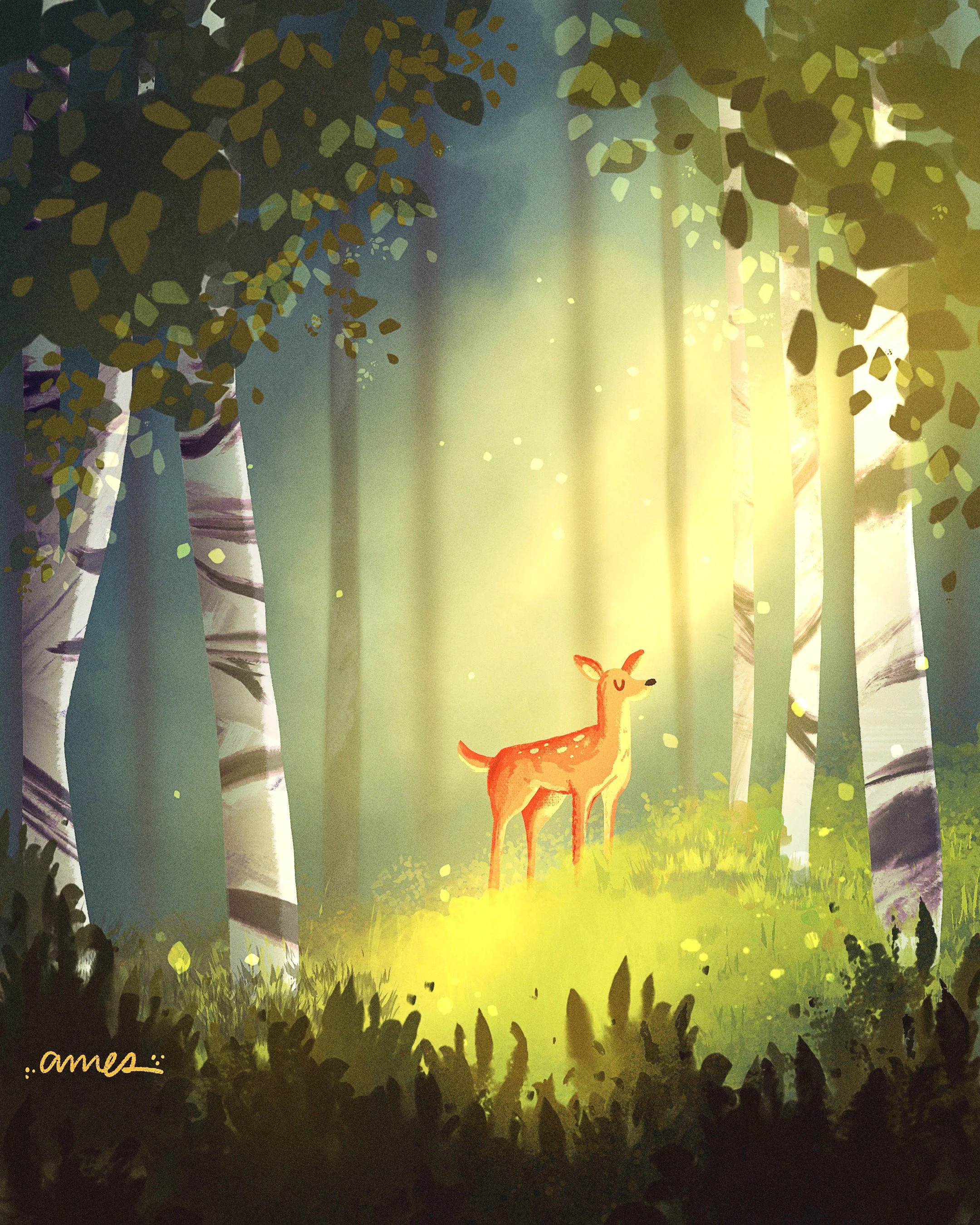 A watercolor-style illustration of a young deer standing in a forest clearing with tall trees around. Light filters through the leaves, illuminating the grass and the deer. Ames Illustrations