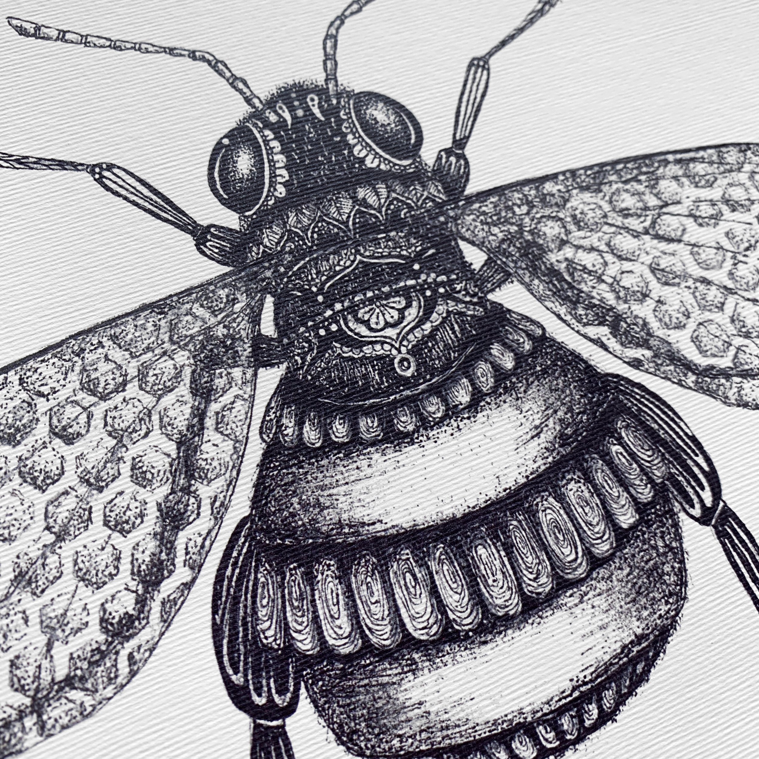 Detailed ink illustration of a Manchester Bee