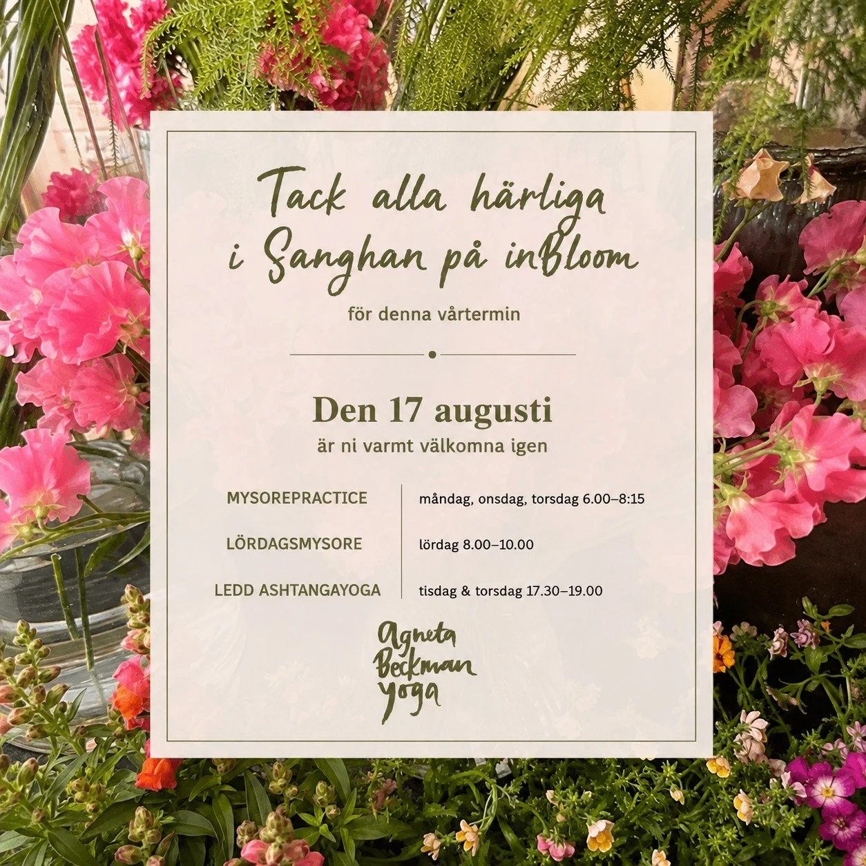 TACK alla ni som har kommit och yogat bakom blommorna i v&auml;rldens b&auml;sta blomsteraff&auml;r @inbloom_sthlm 
Ni inspirerar mig s&aring; mycket och det &auml;r fantastiskt att se hur gruppen st&ouml;ttar varandra.

TACK @sassaleee f&ouml;r att 