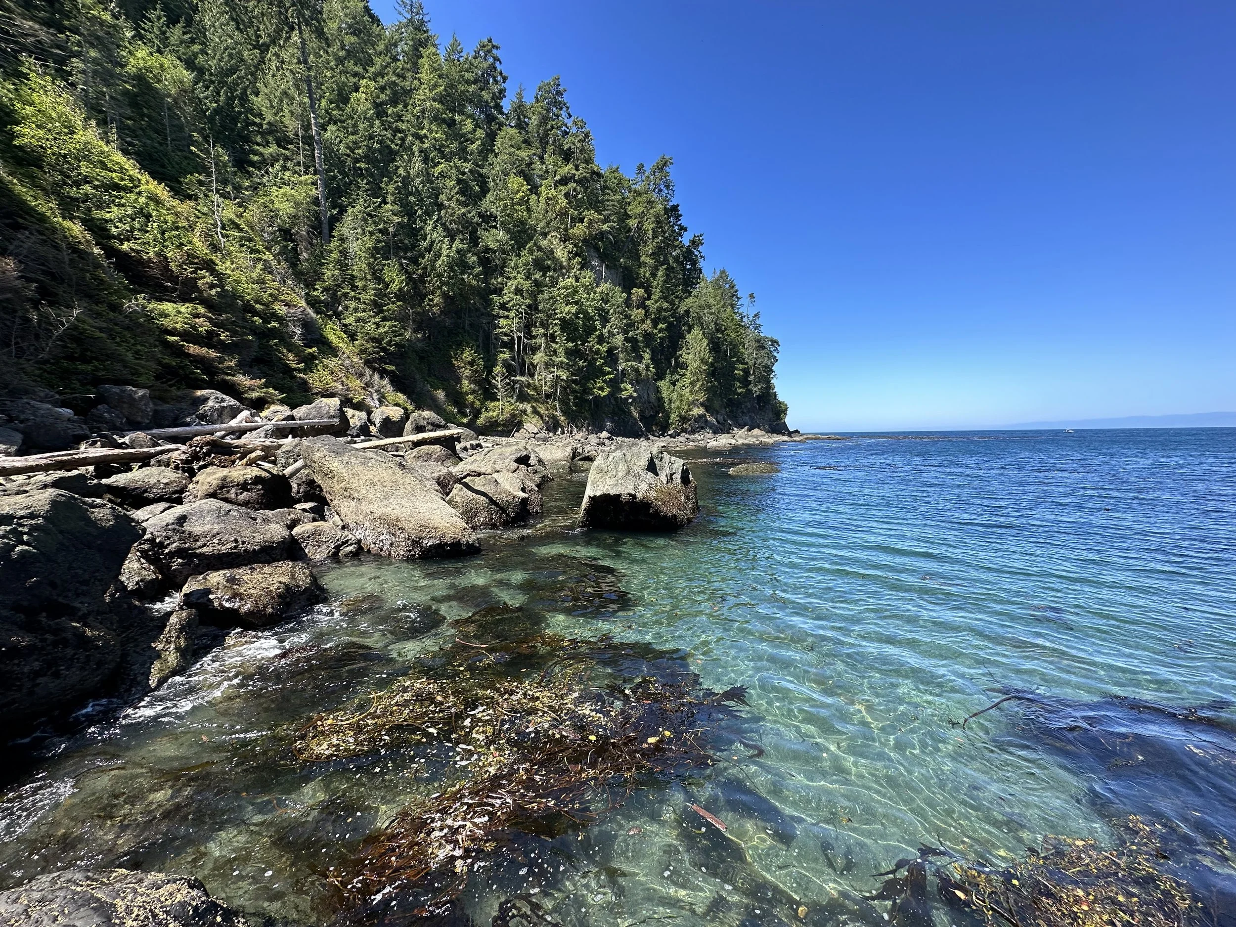 IMG_0912.jpeg