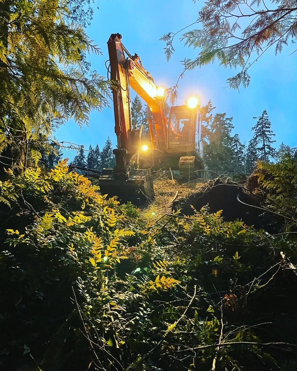 Land Clearing & Demolition