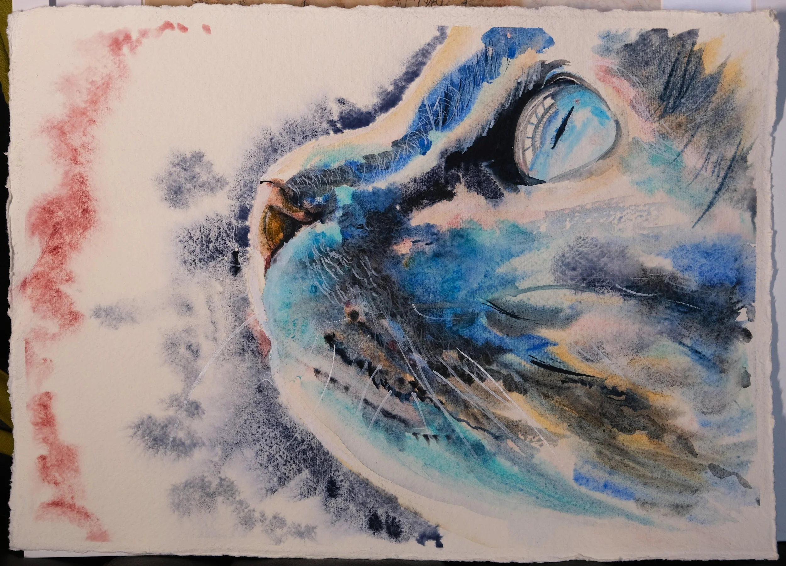 "Galaxy Cat", Watercolour, 2026