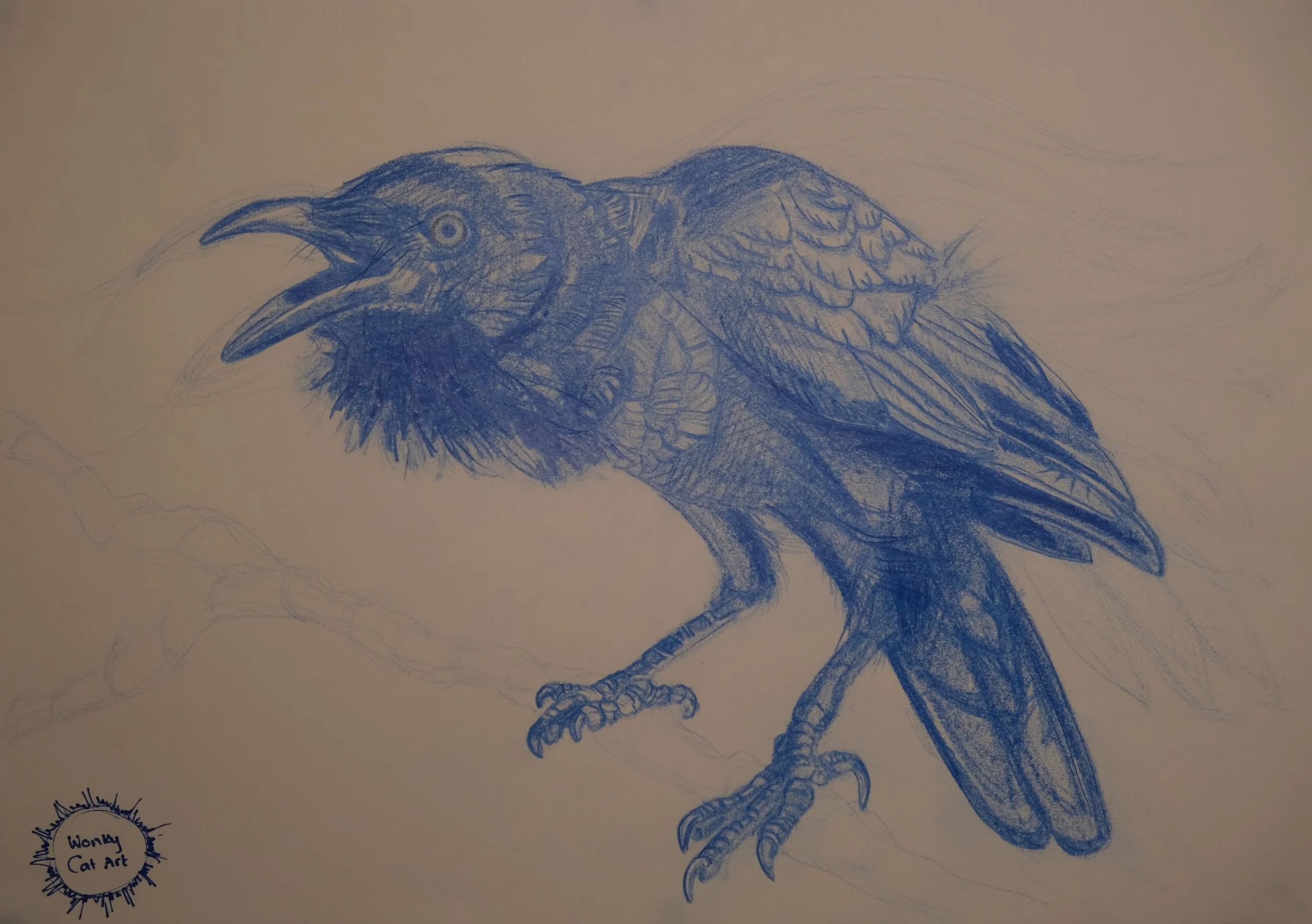 Raven.JPG