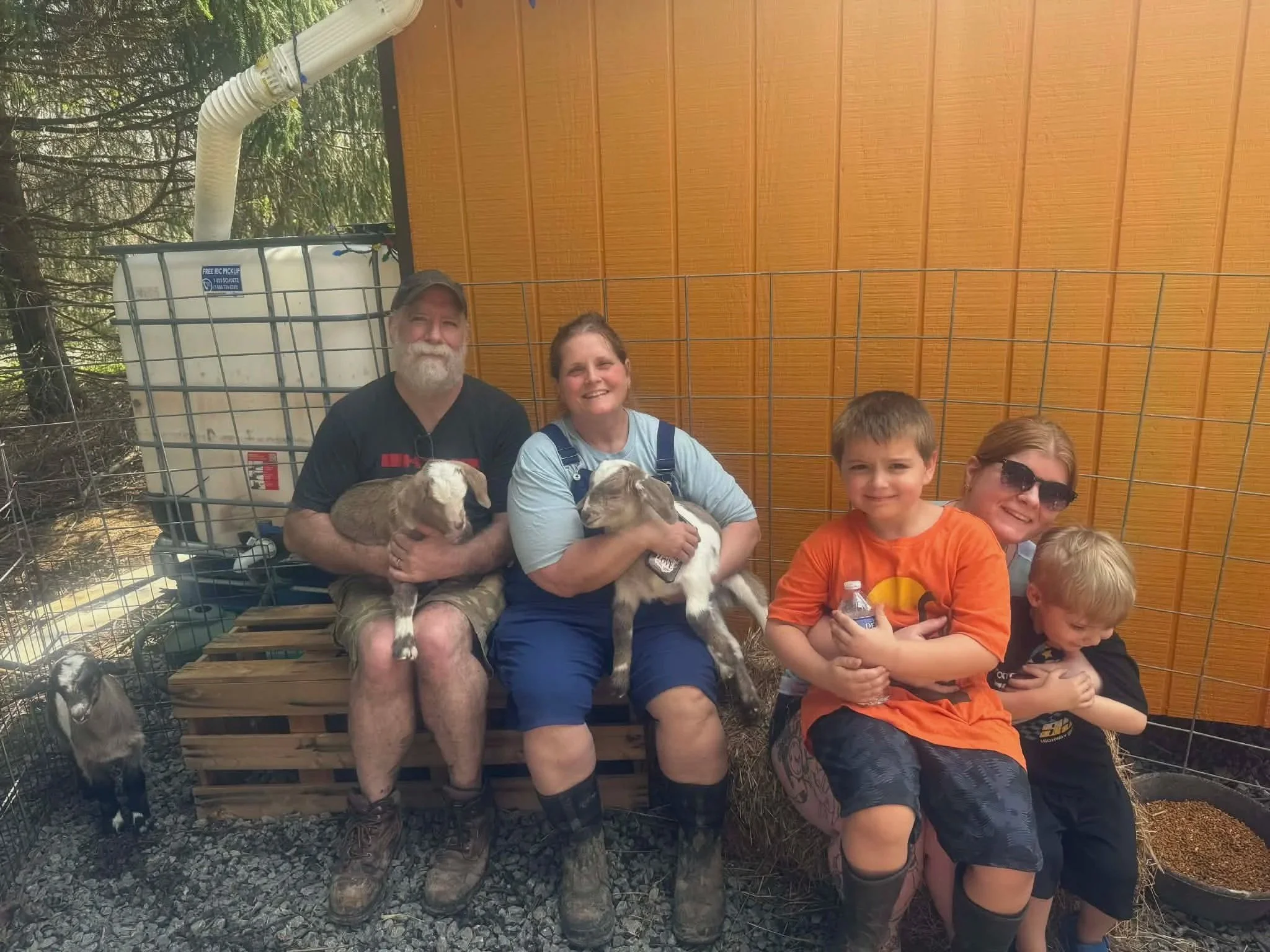Group of people with goats sitting on a wooden platform in front of a wire fence, with trees and a building with orange siding in the background.