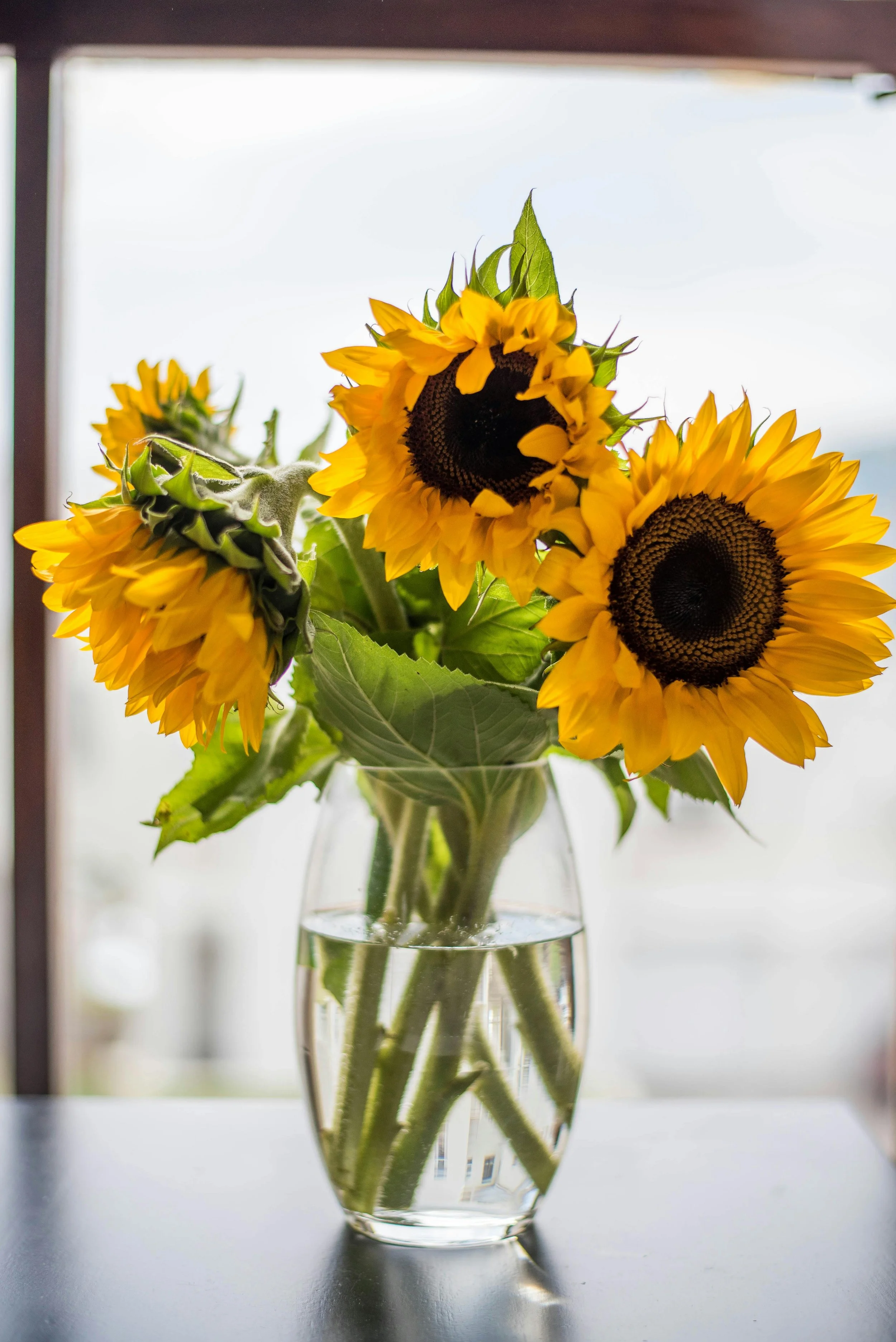 A glass vase with sunflower flowers on a windowsill.