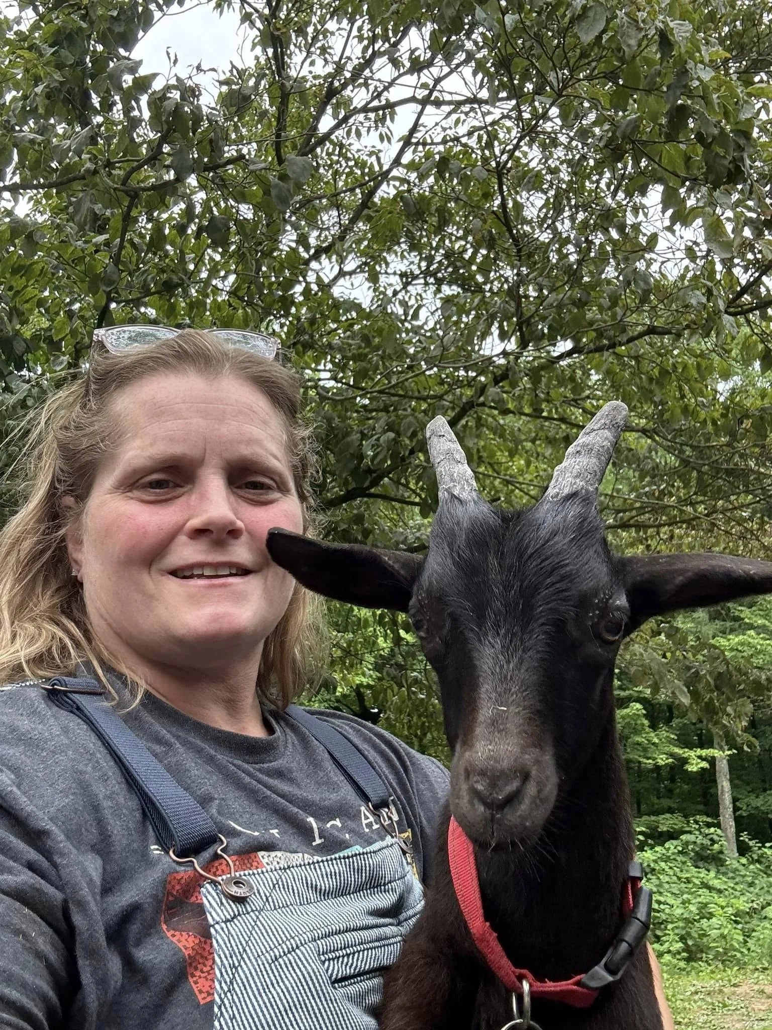 A woman taking a selfie with a black goat with horns in a green outdoors setting.