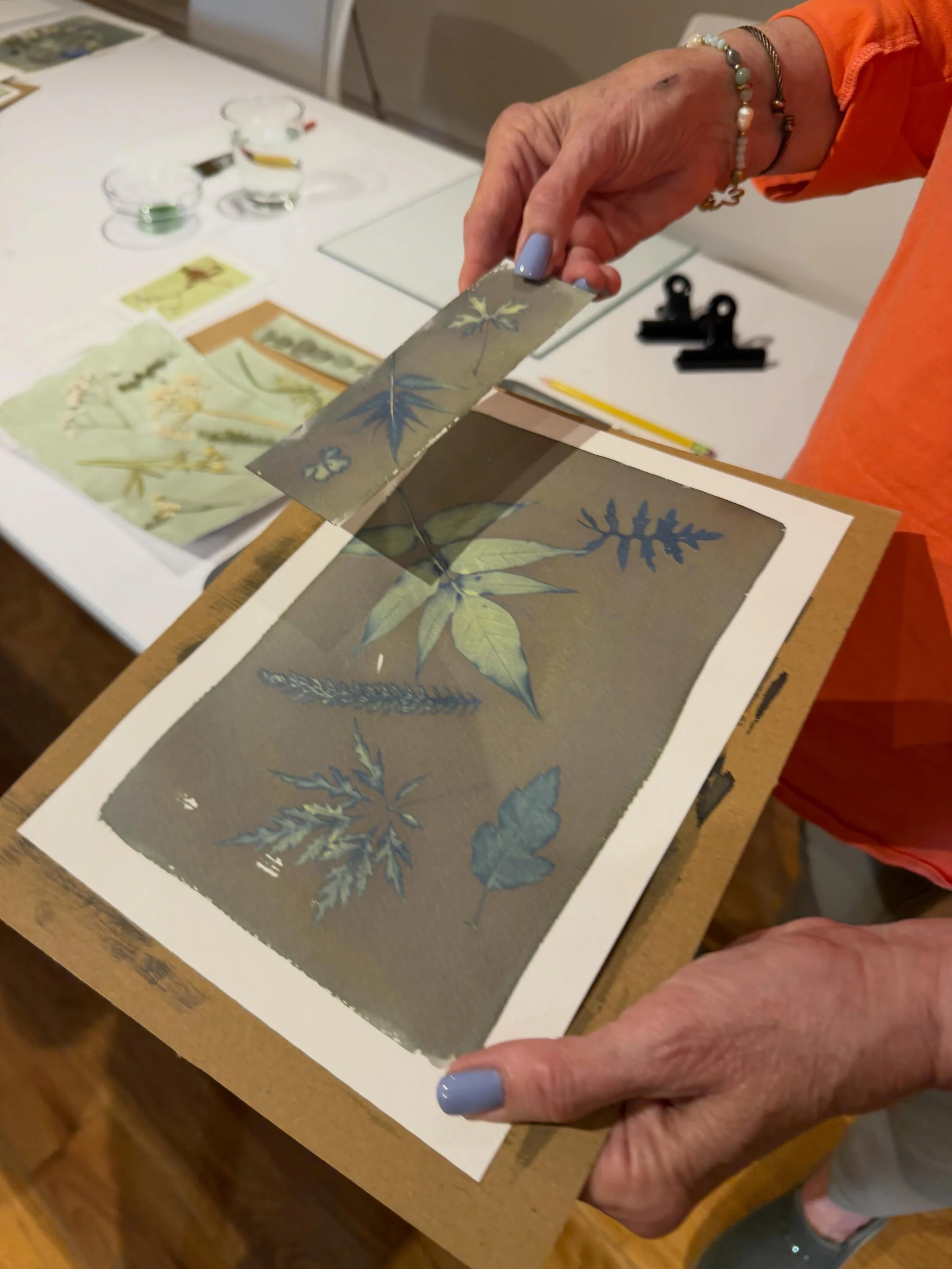We had the best afternoon at Bowood Farms last Friday. Cyanotype, St. Louis sunshine (🌞 phewf!) and a room full of people who went home with handmade art made from nature.
It&rsquo;s all part of the same love of botanicals, preserved blooms, and now