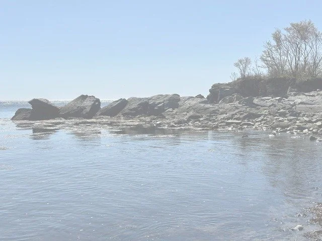 Calm lake with rocky shoreline and sparse trees in the background