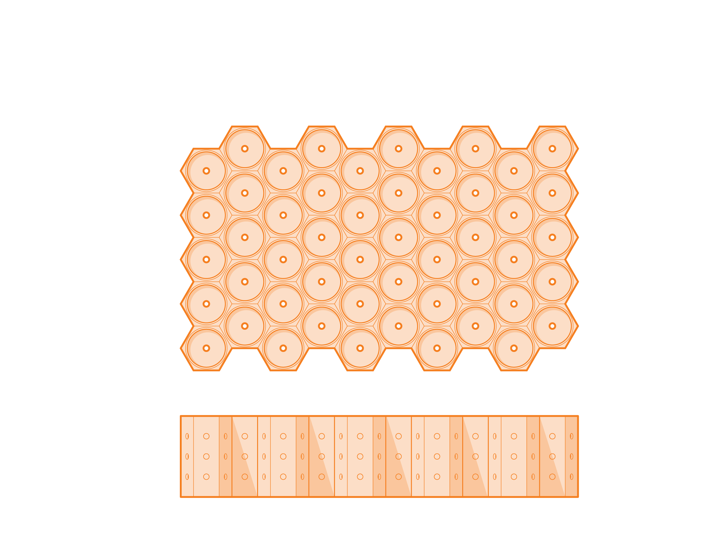 Queen Bee Cell Holder Dimensions